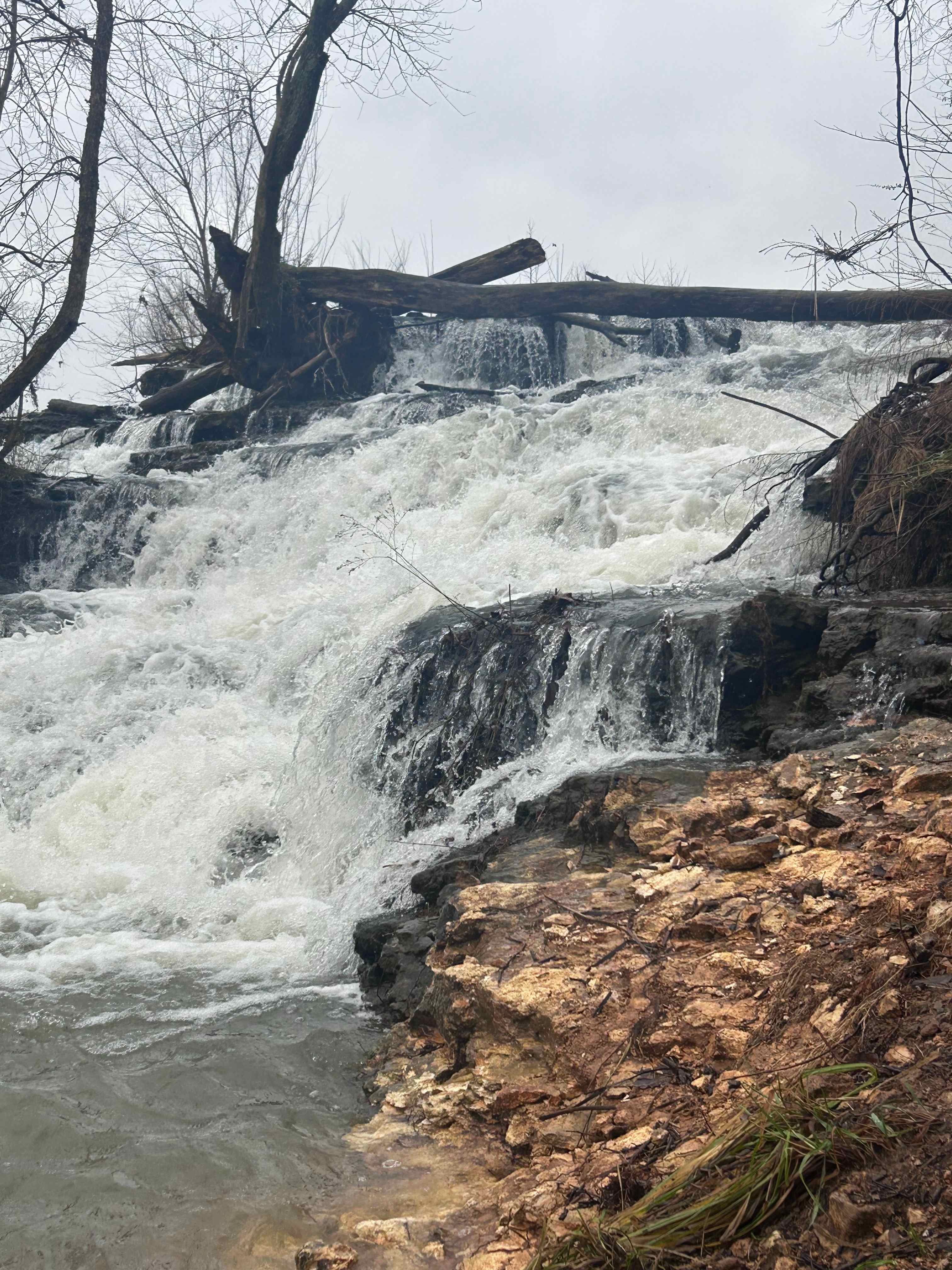Sequoyah lake
