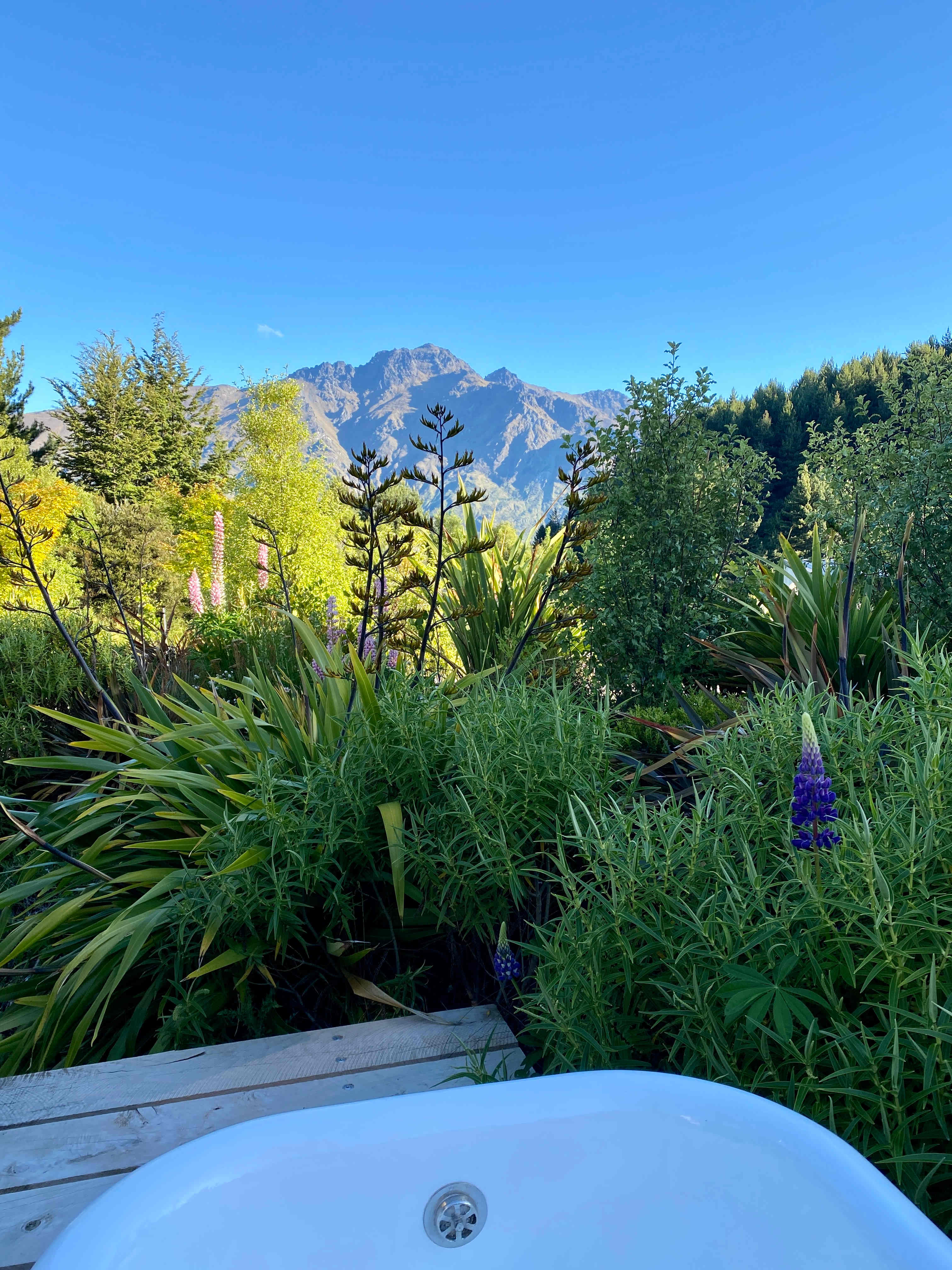 Amazing Spaces Queenstown
