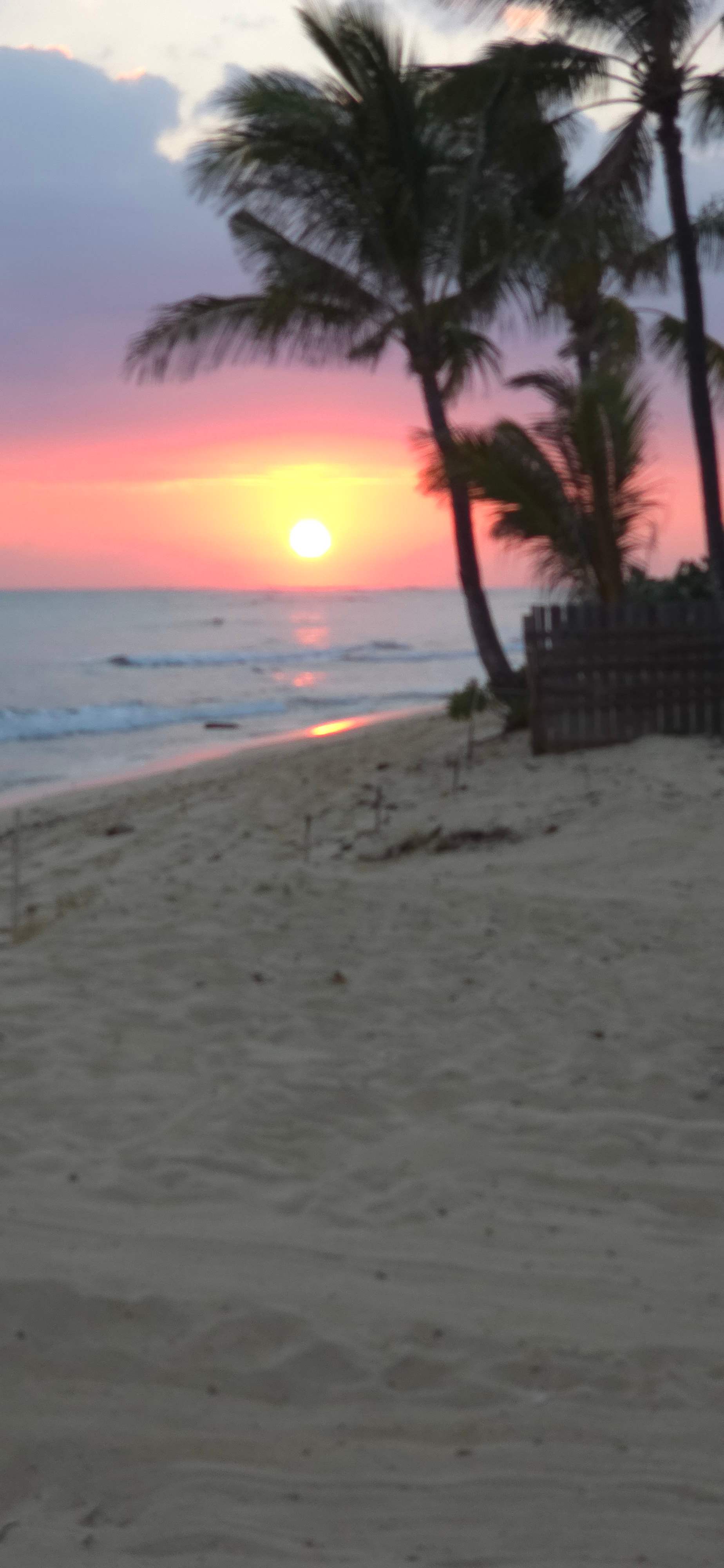 The Beach