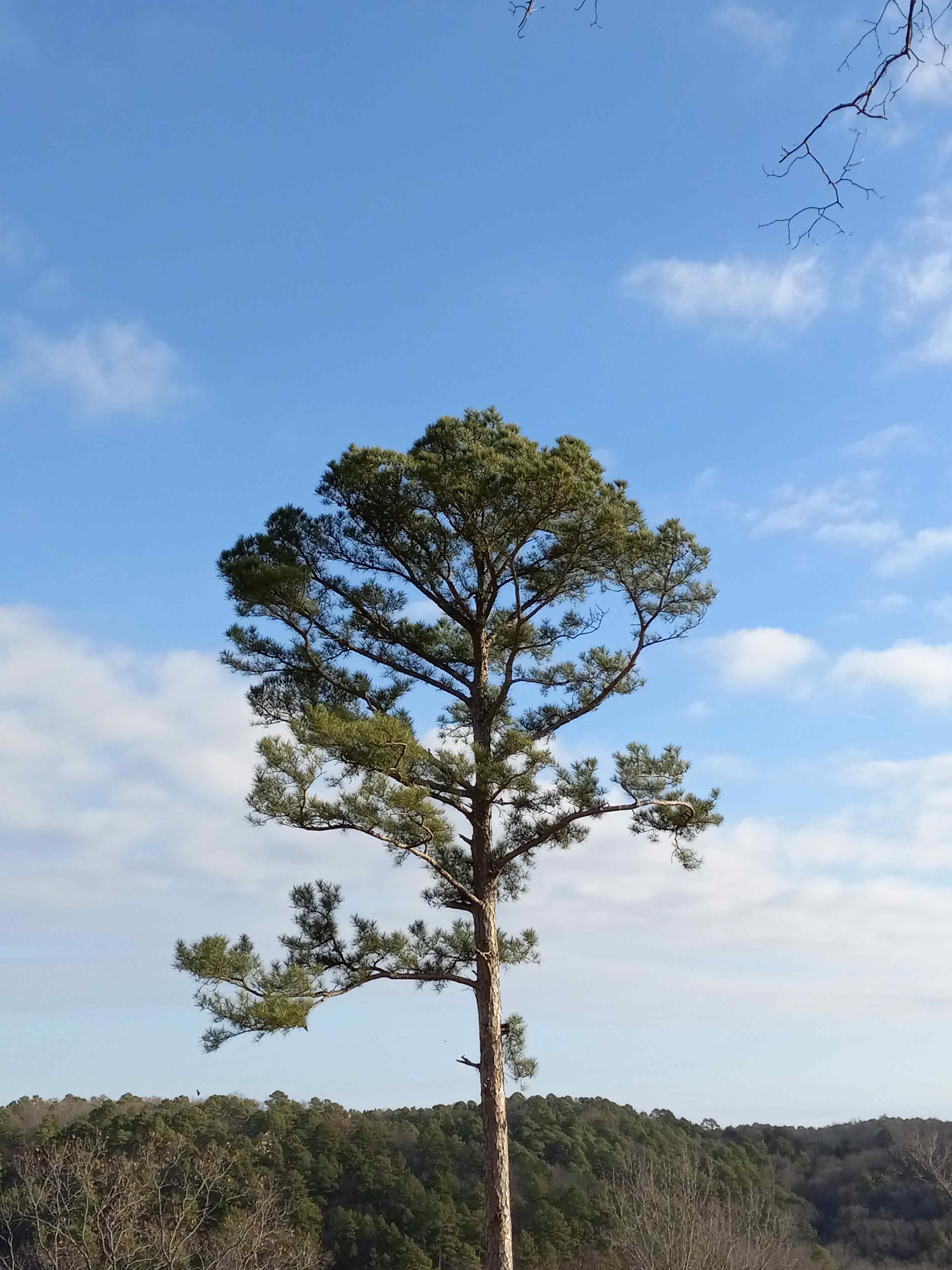 Route 62 Motor Resort