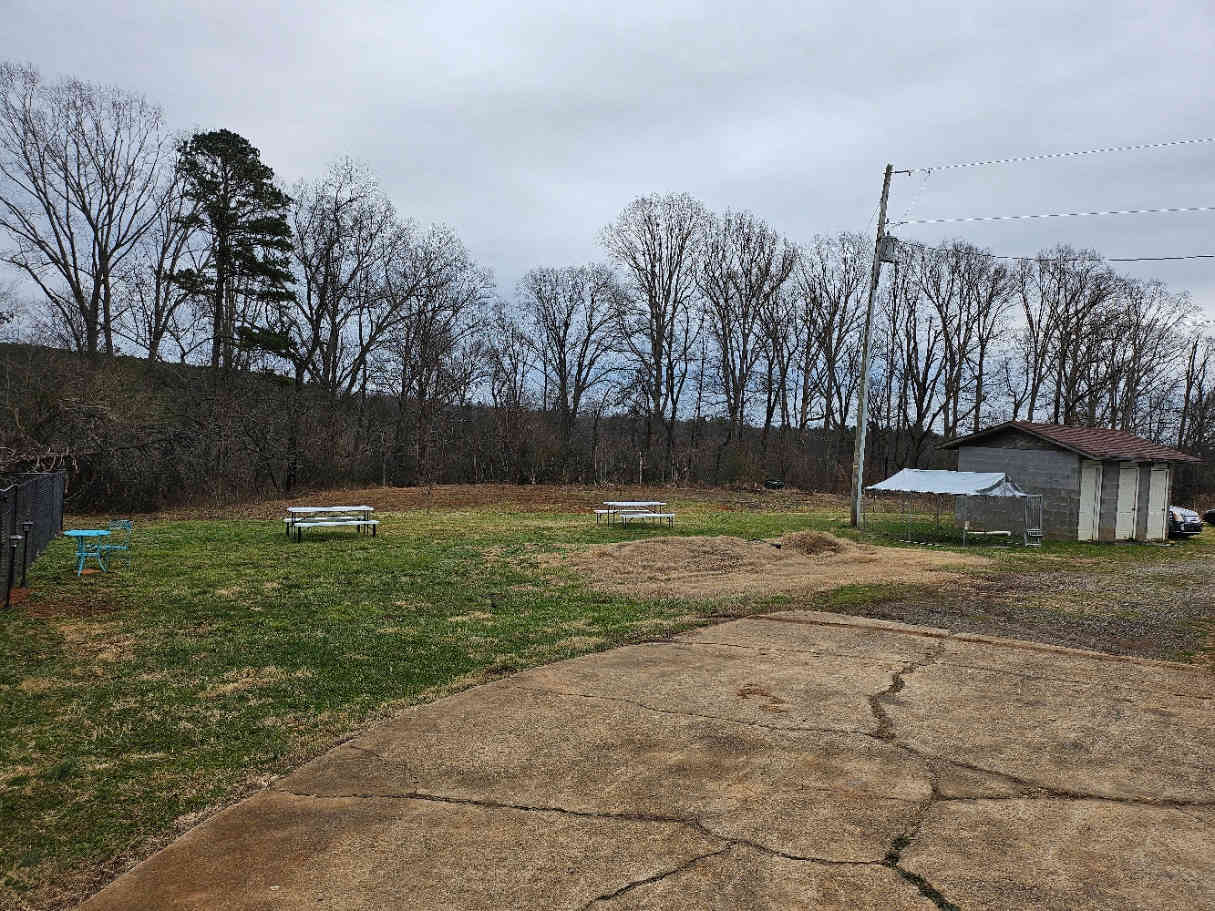 🌲 Welcome To Southern Love Farm