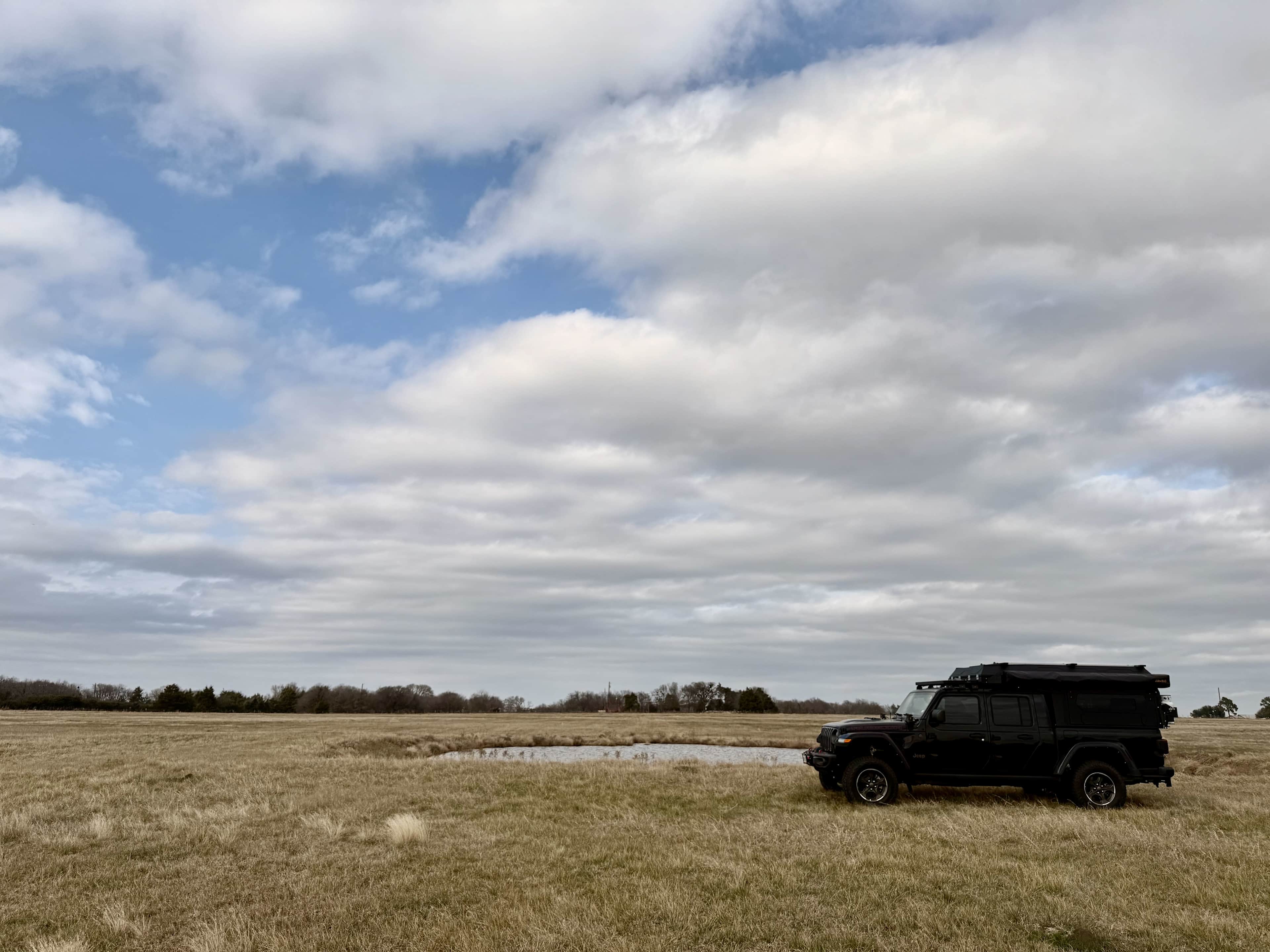 The W of Texas