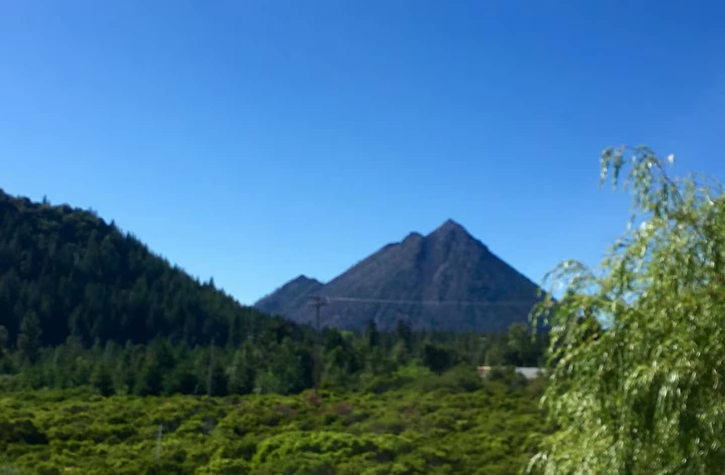 Shasta Cottages