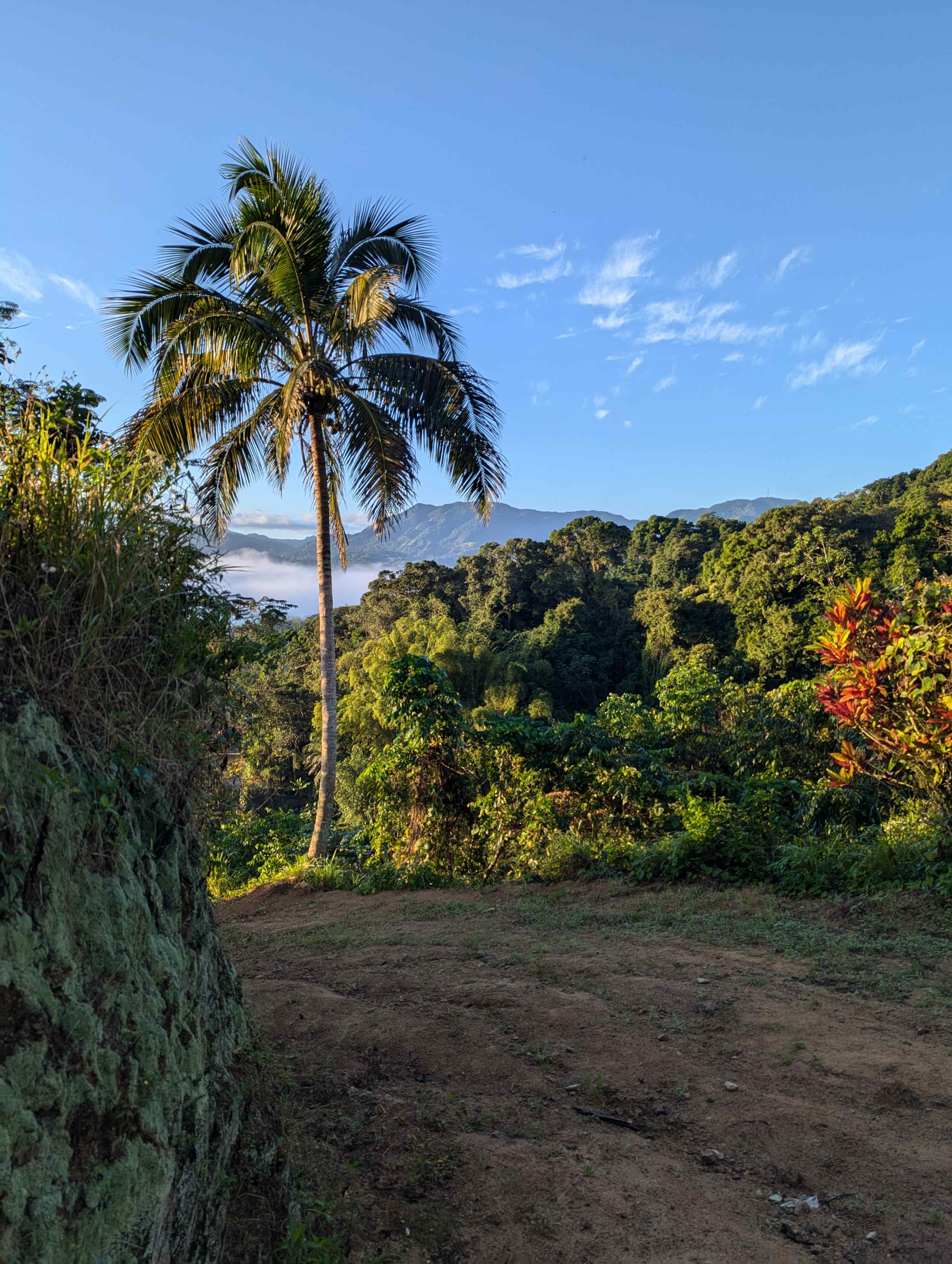 Courage Creek Camp and Trails