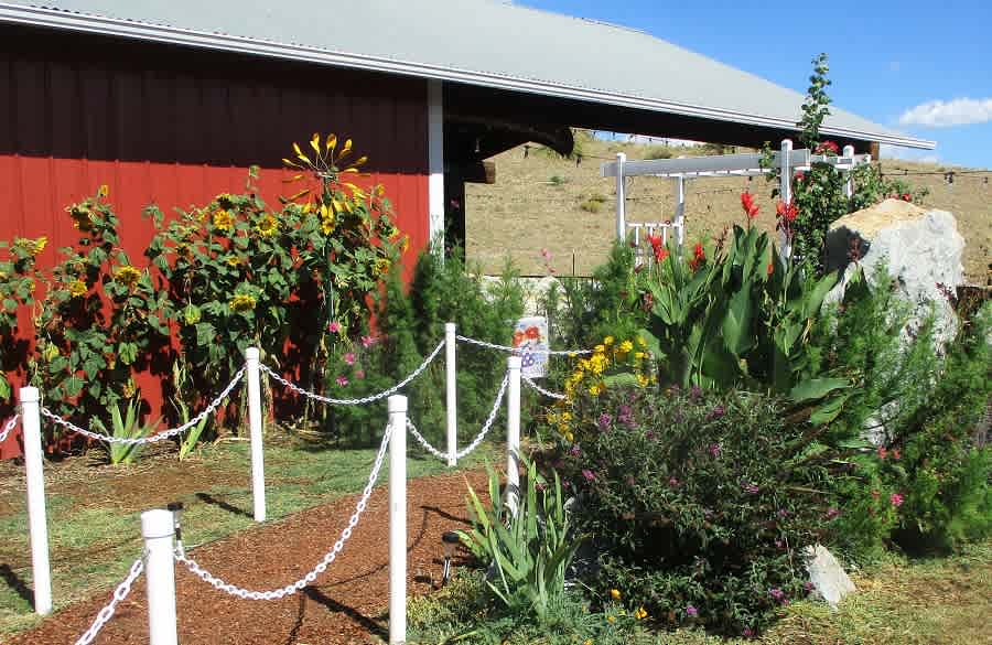Rancho Viejo