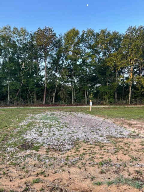 Wiregrass RV Park
