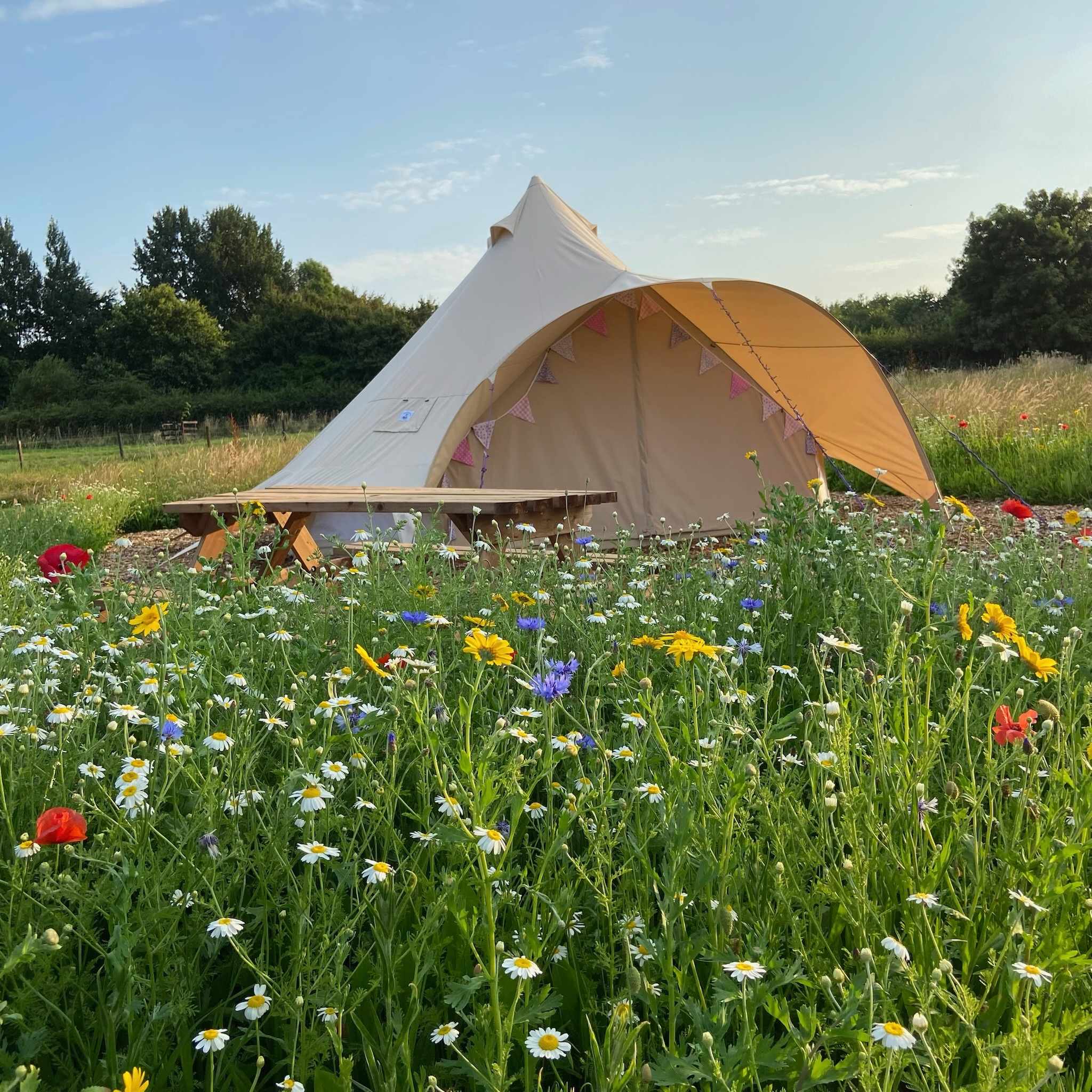 Broadleaves Glamping