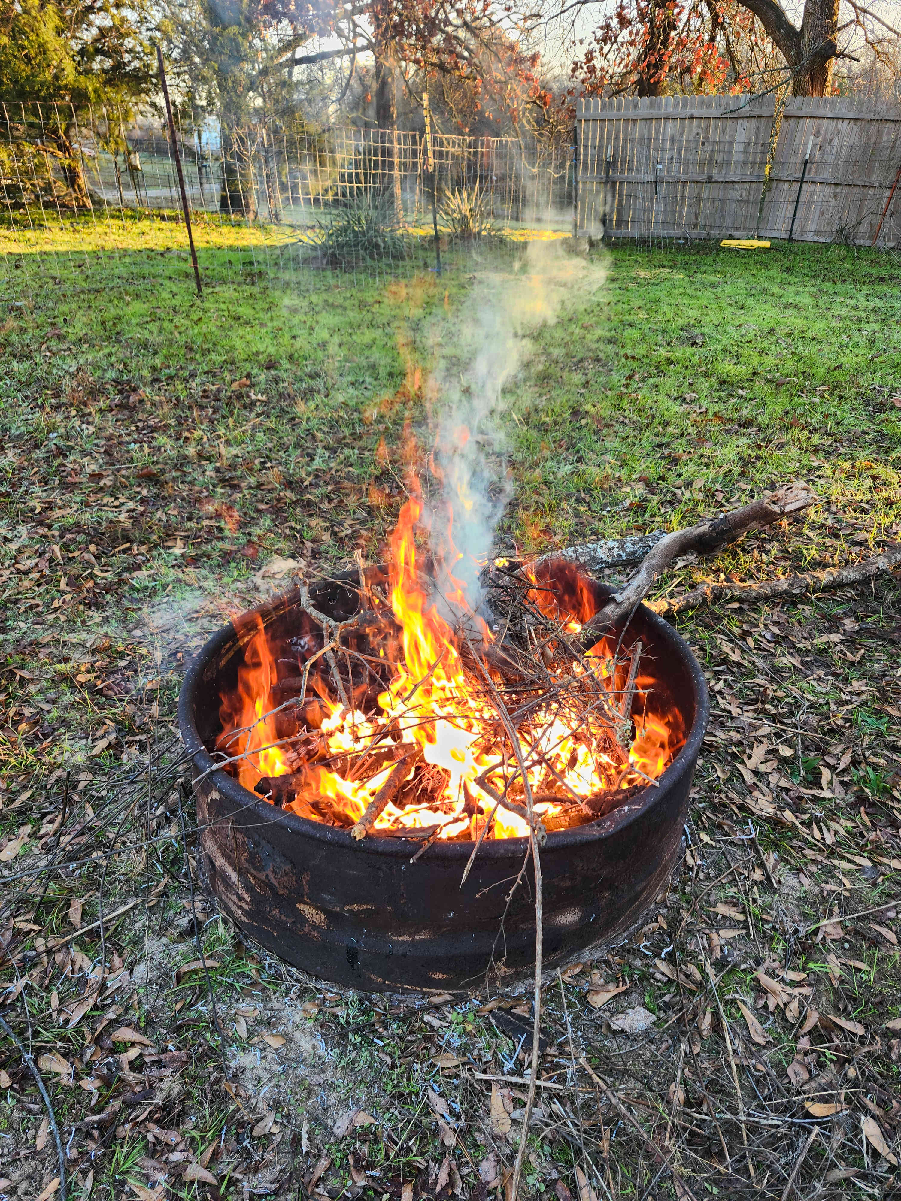 Lindale, Coyote Camping/Yurt/Tiny