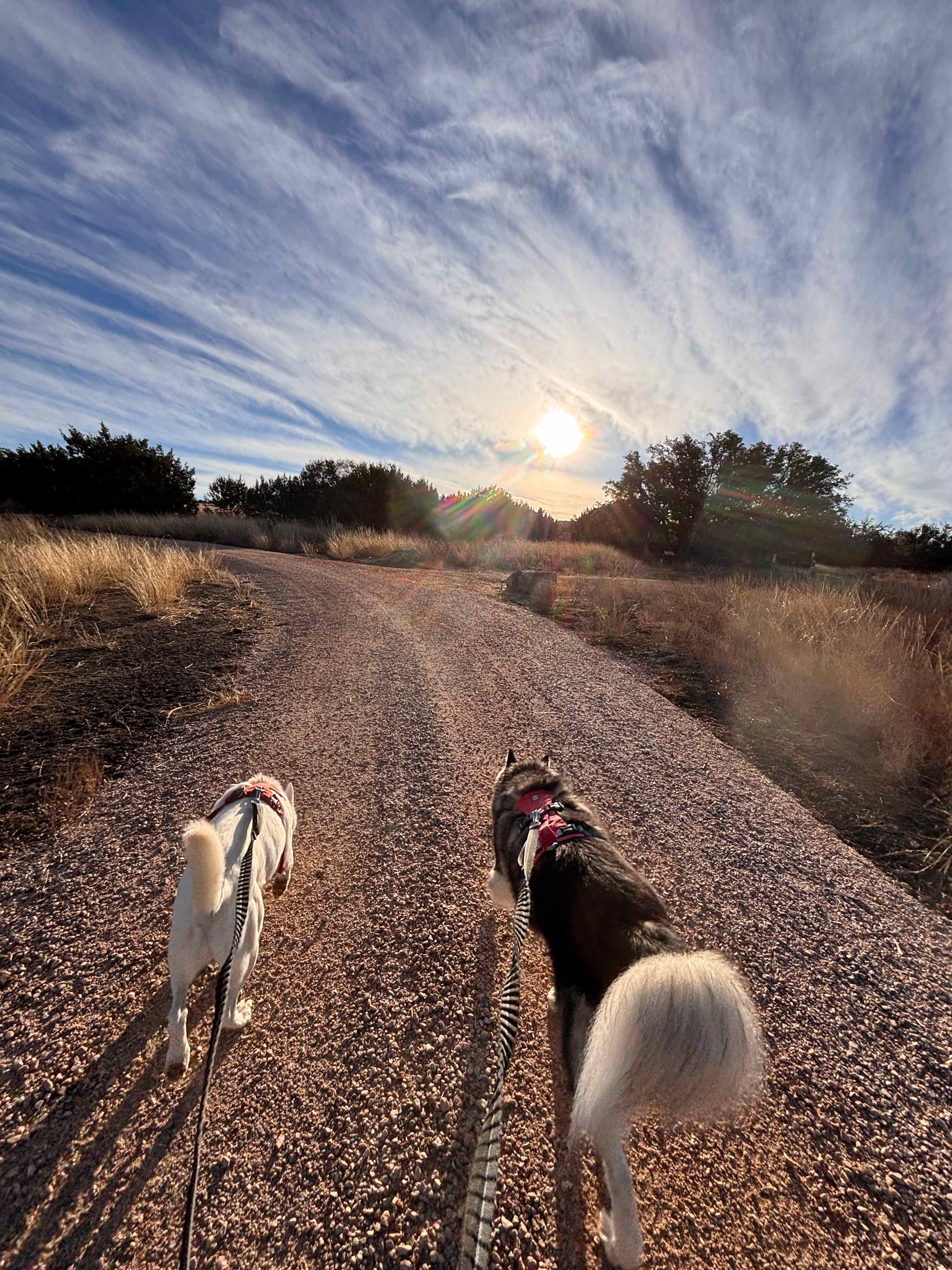 Outdoorsy Hill Country