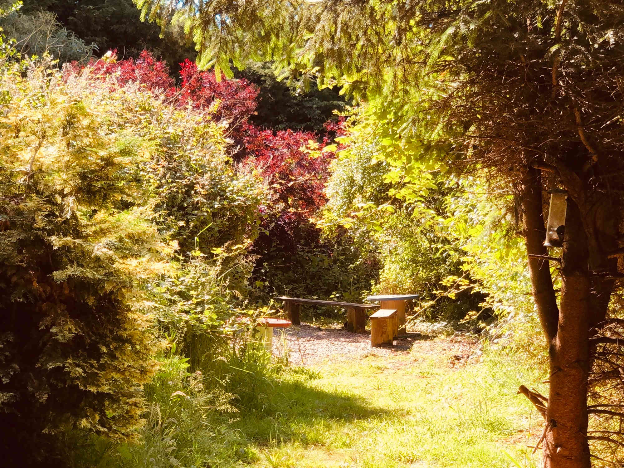 Goldcrest - Breakaway Camping