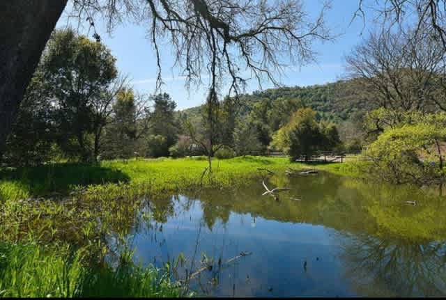 Paradise Valley Cattle Company
