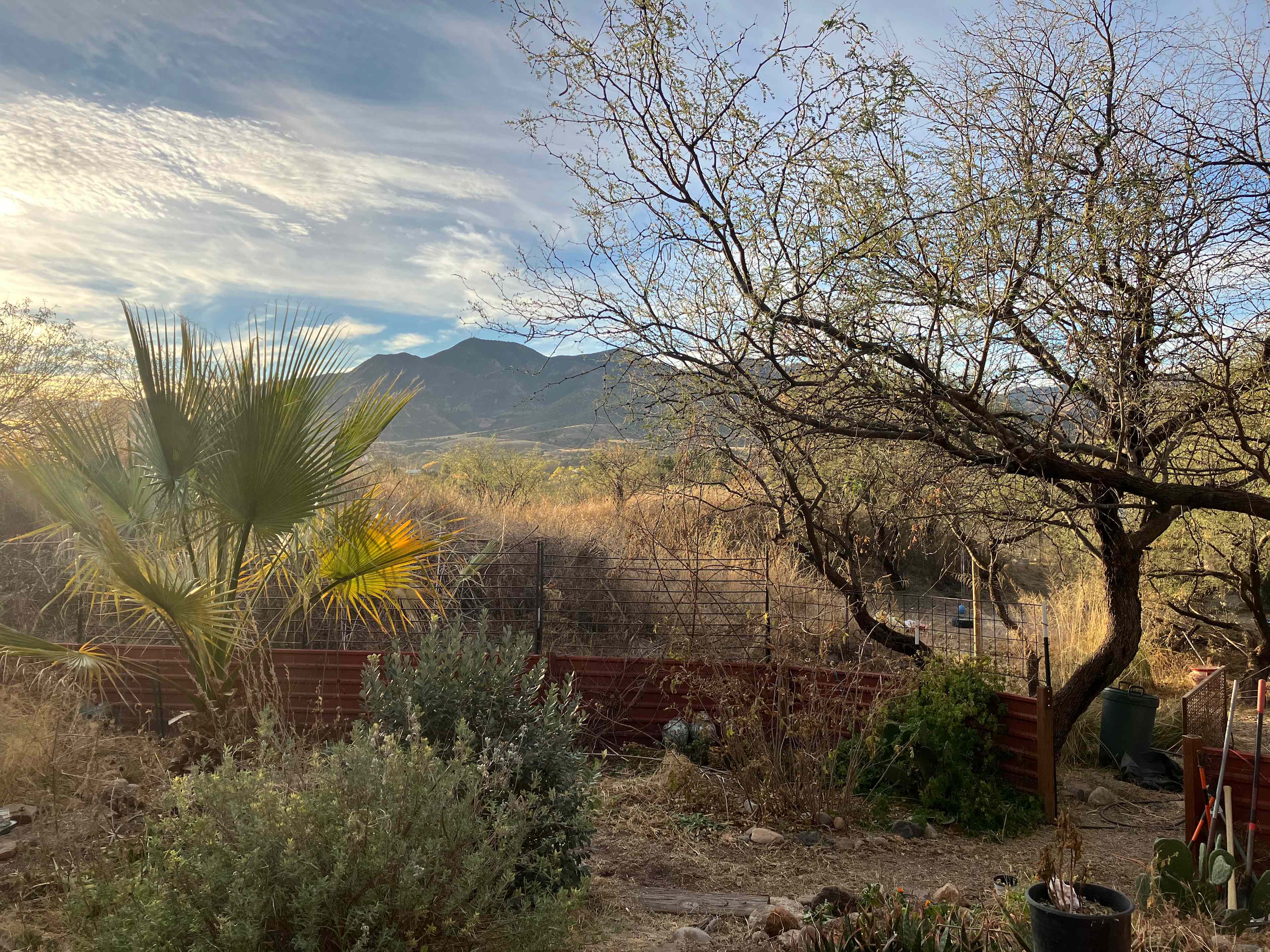 Desert Solitaire at Rainbow Hills