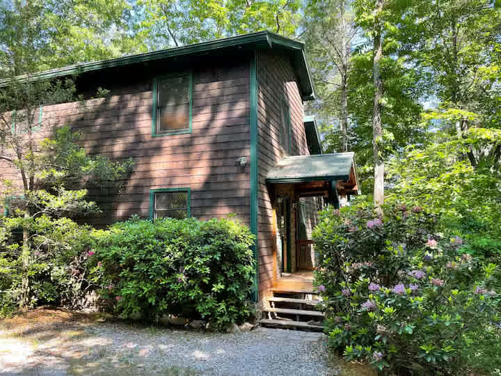 Cozy Lux Mountain Cabin
