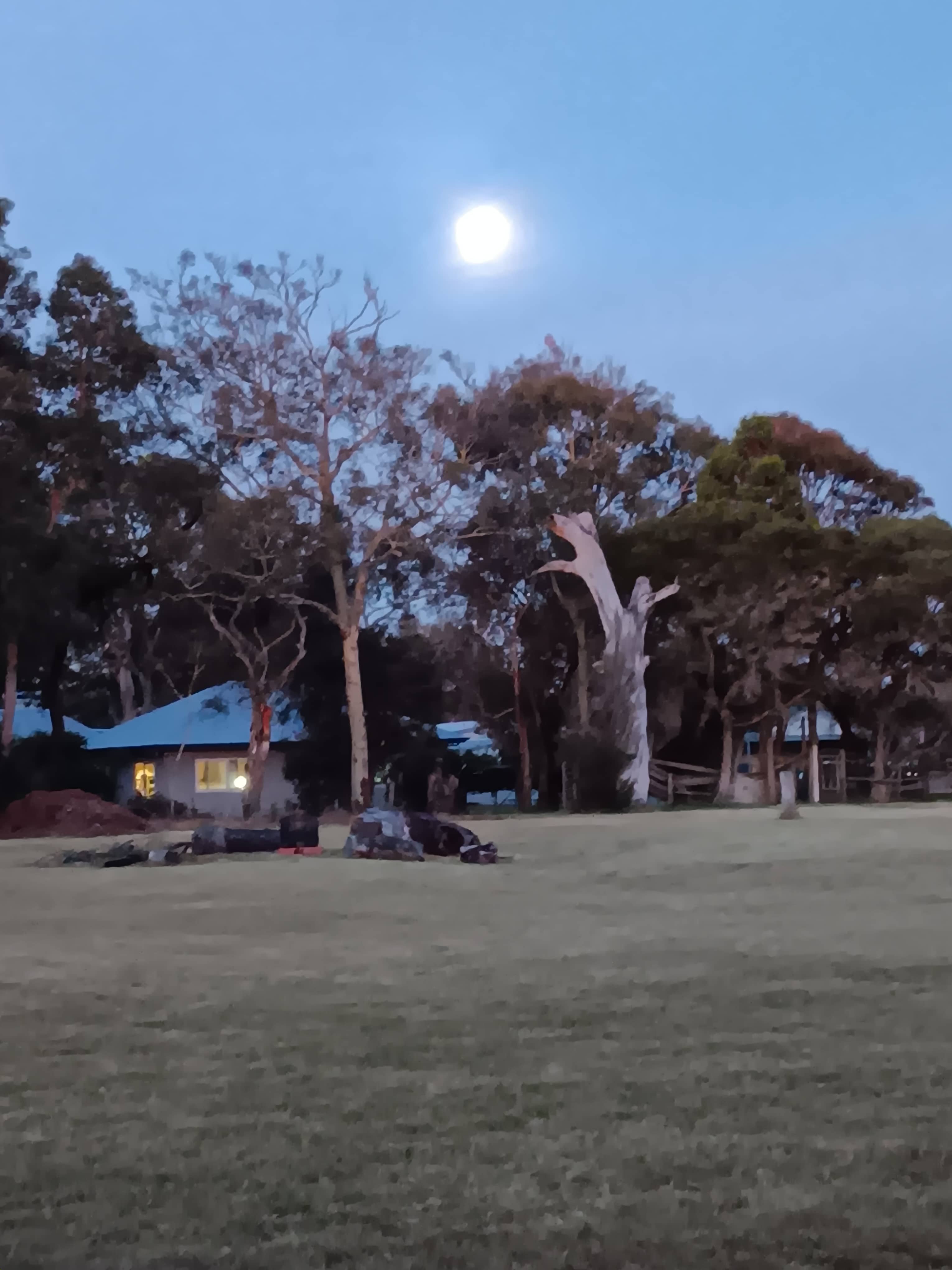 Full moon rising over Saul and Sandy's home.