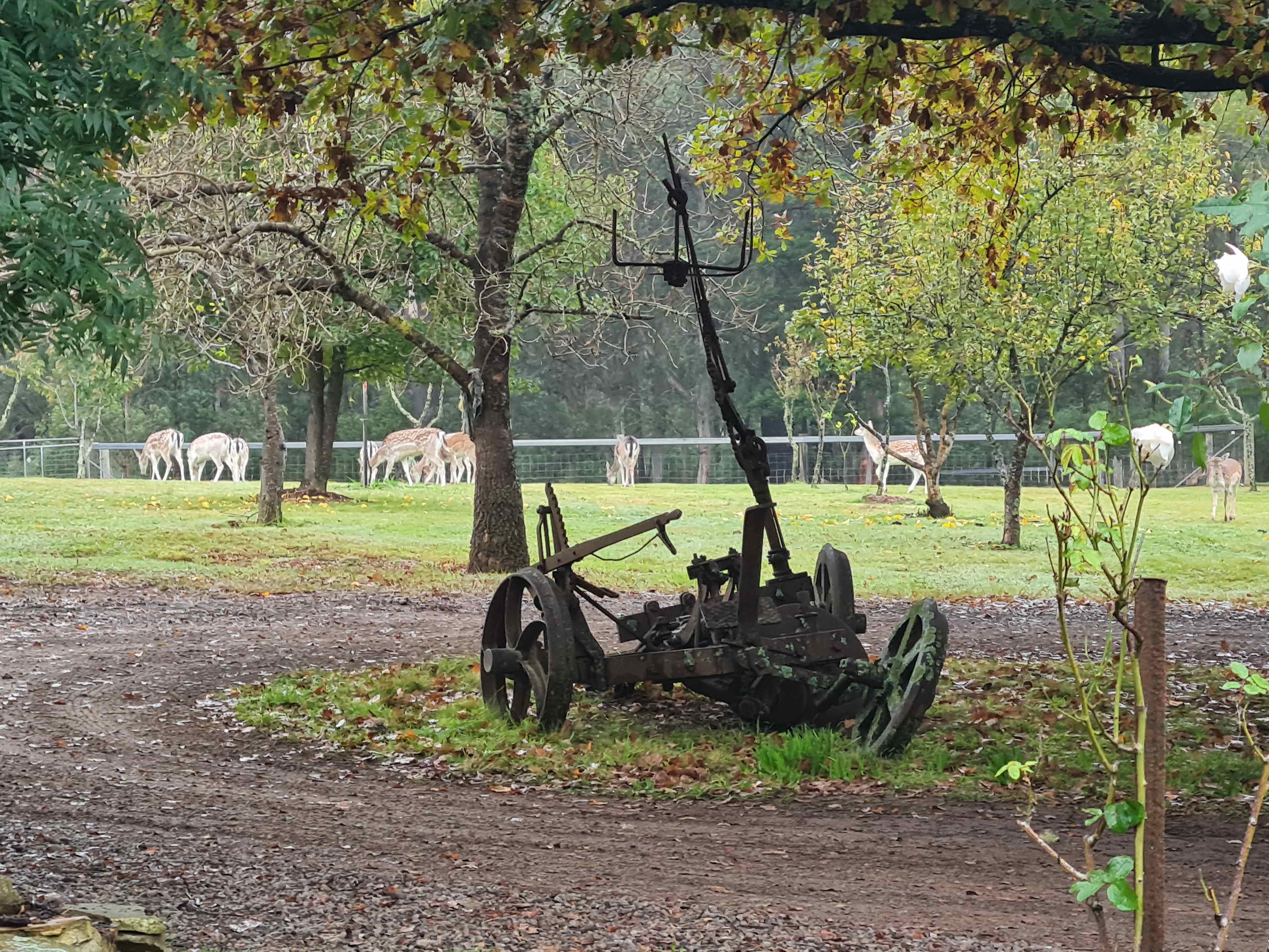 Oakleigh Farm Stay