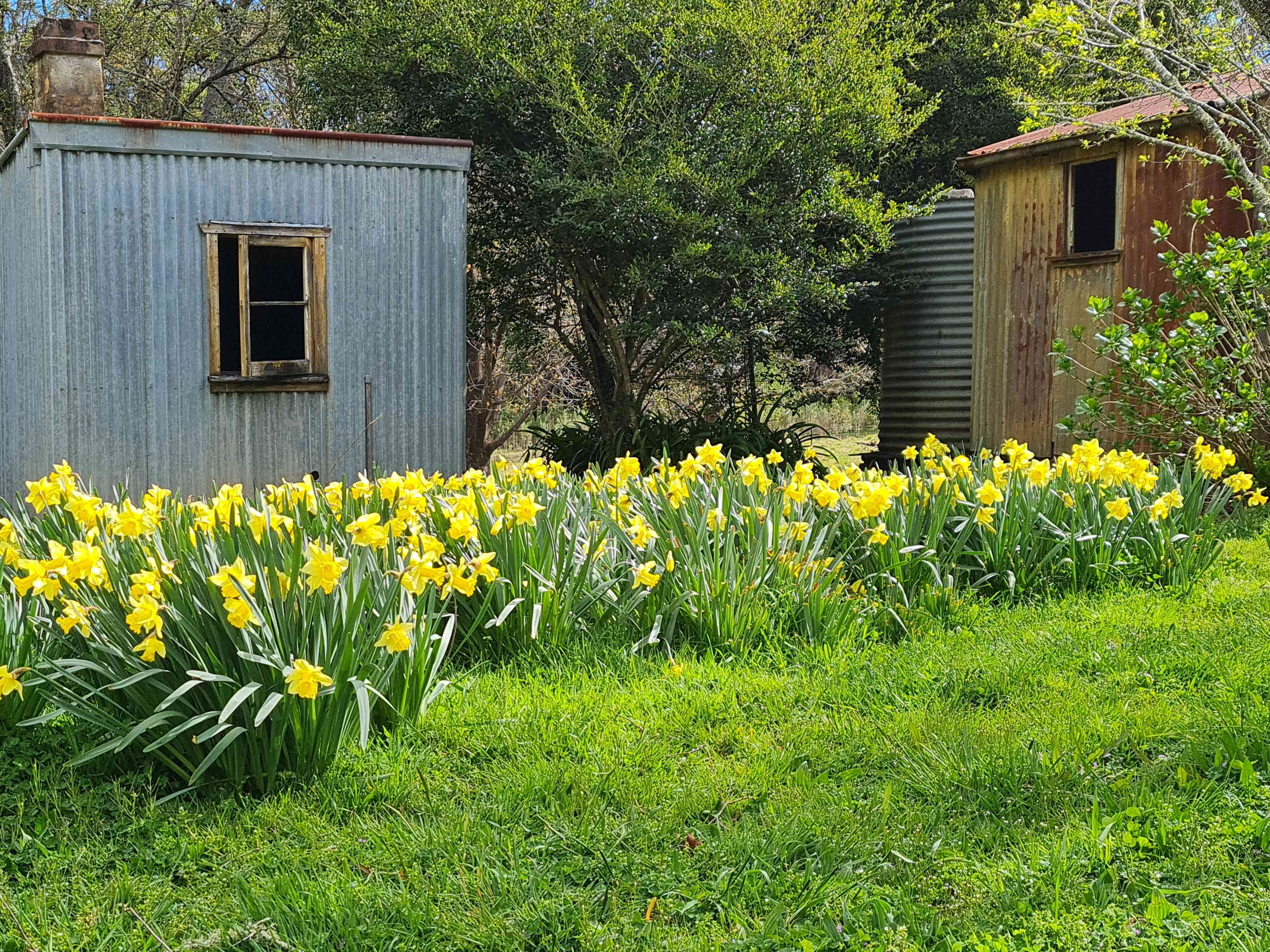 Oakleigh Farm Stay
