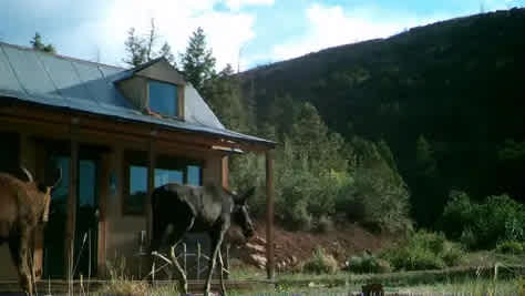Ward Family Homestead