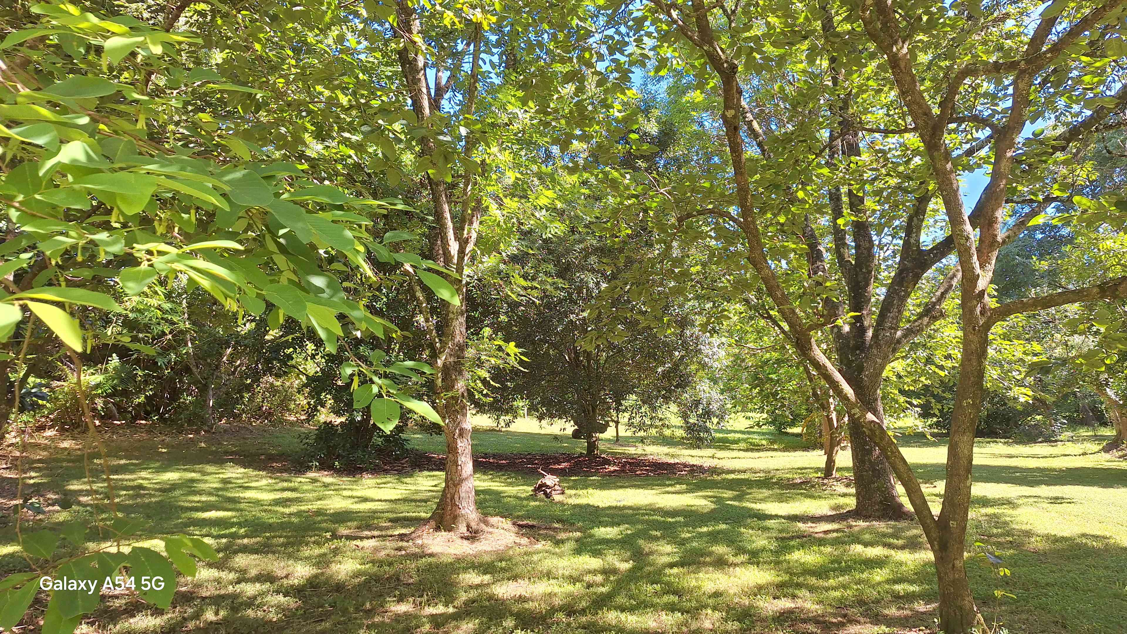 Burringbar Camping