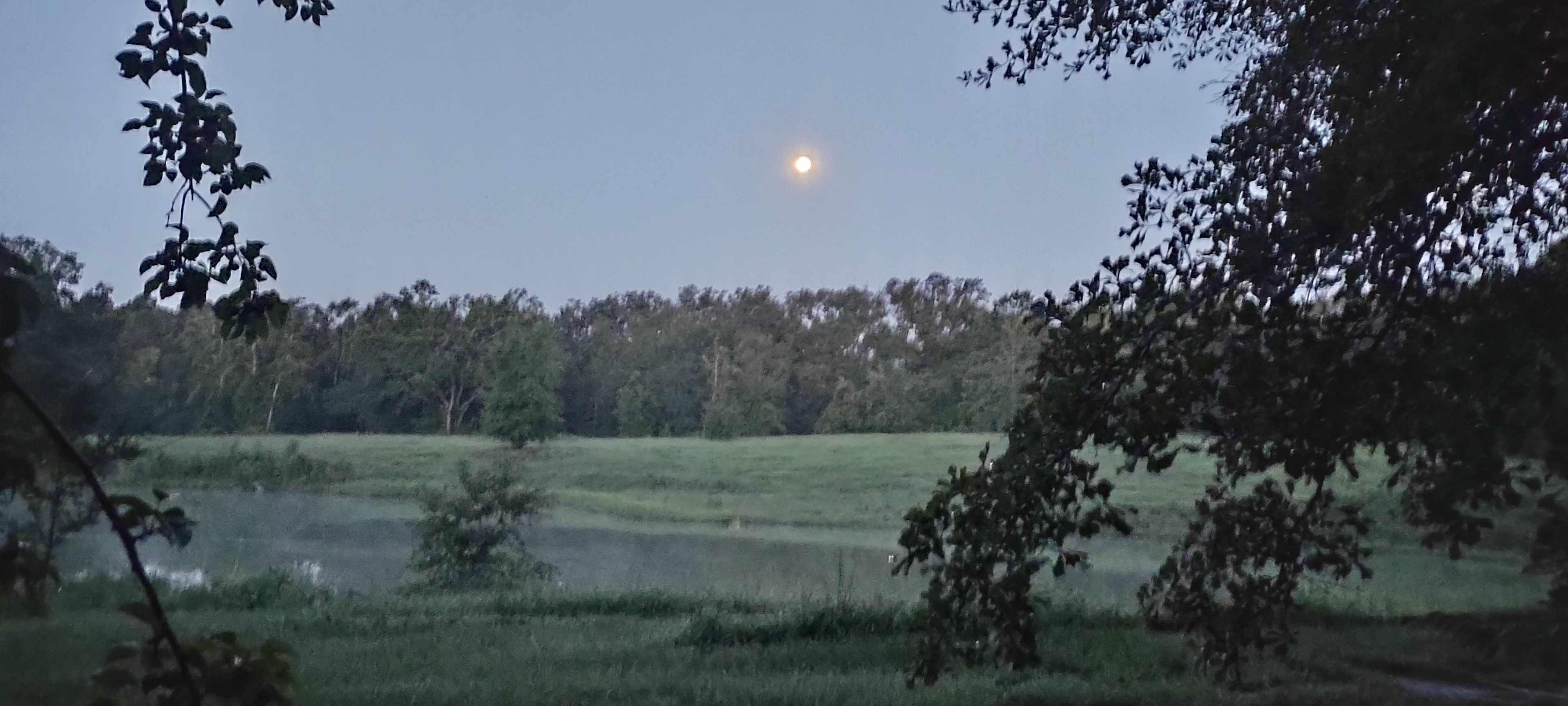 North FL Equestrian Short Stay