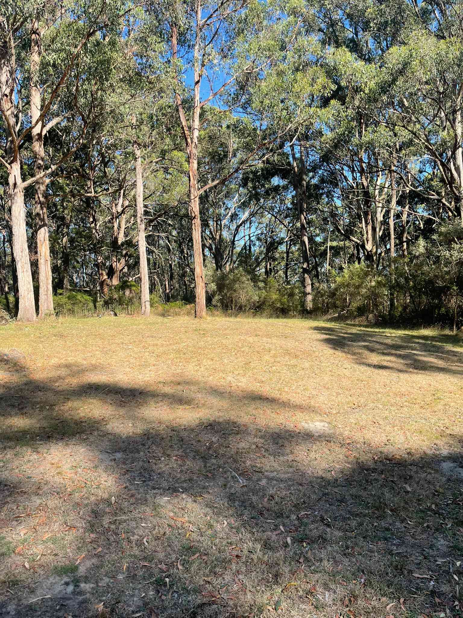 Dobbins Road