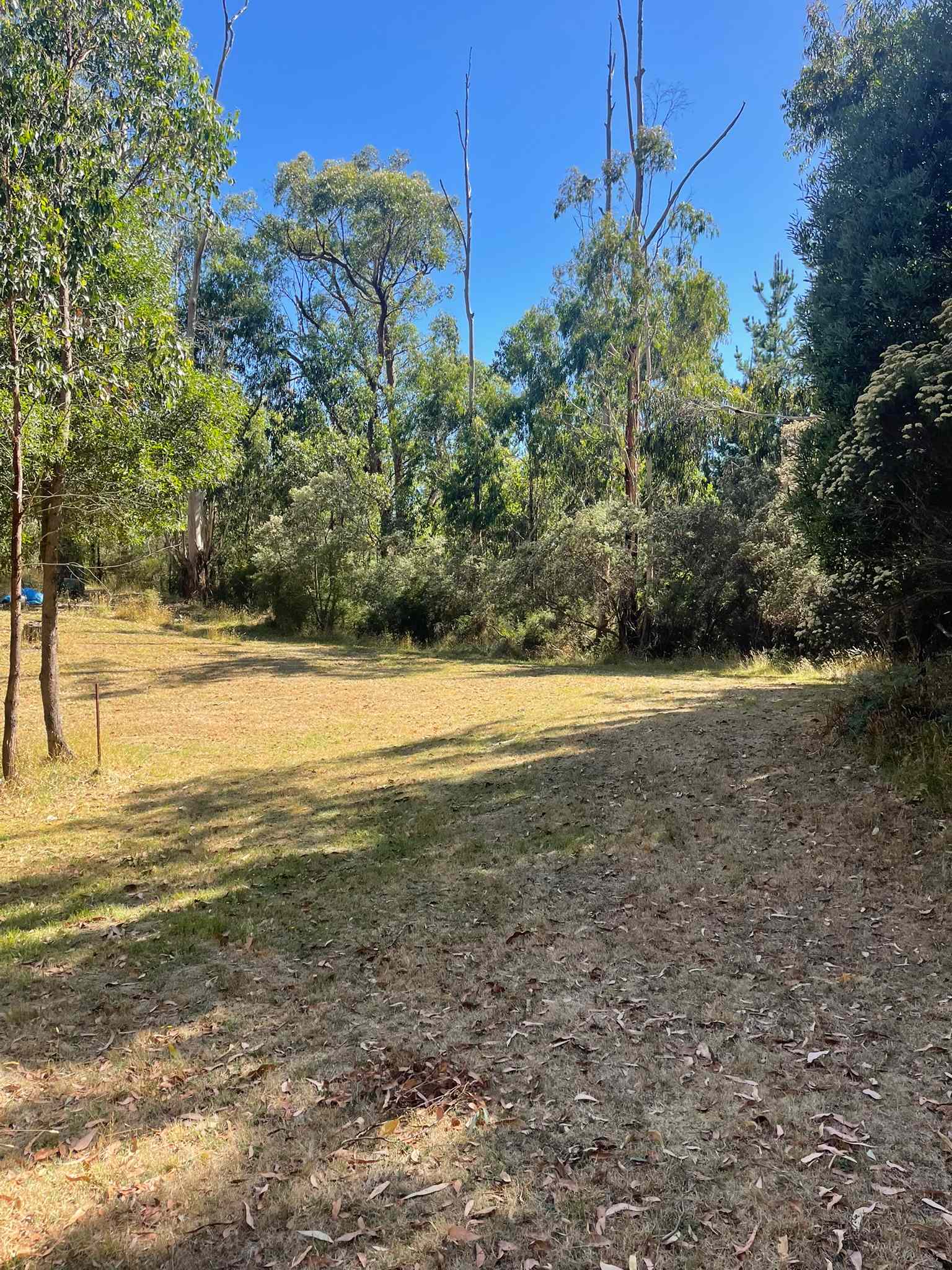 Dobbins Road