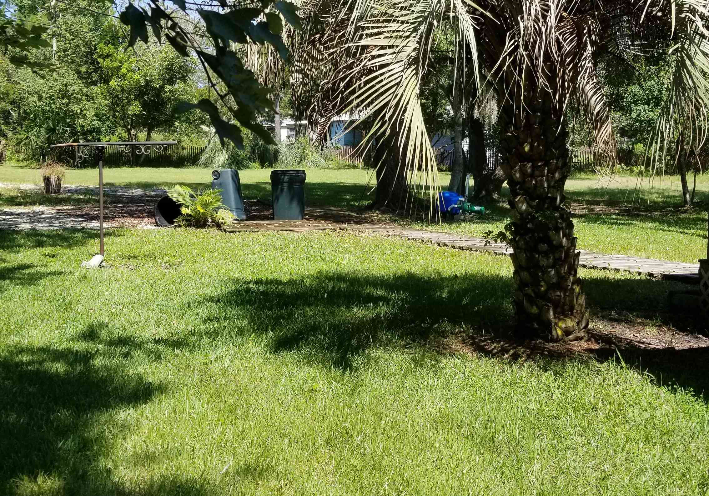 Old Florida Wooded Site Near Town