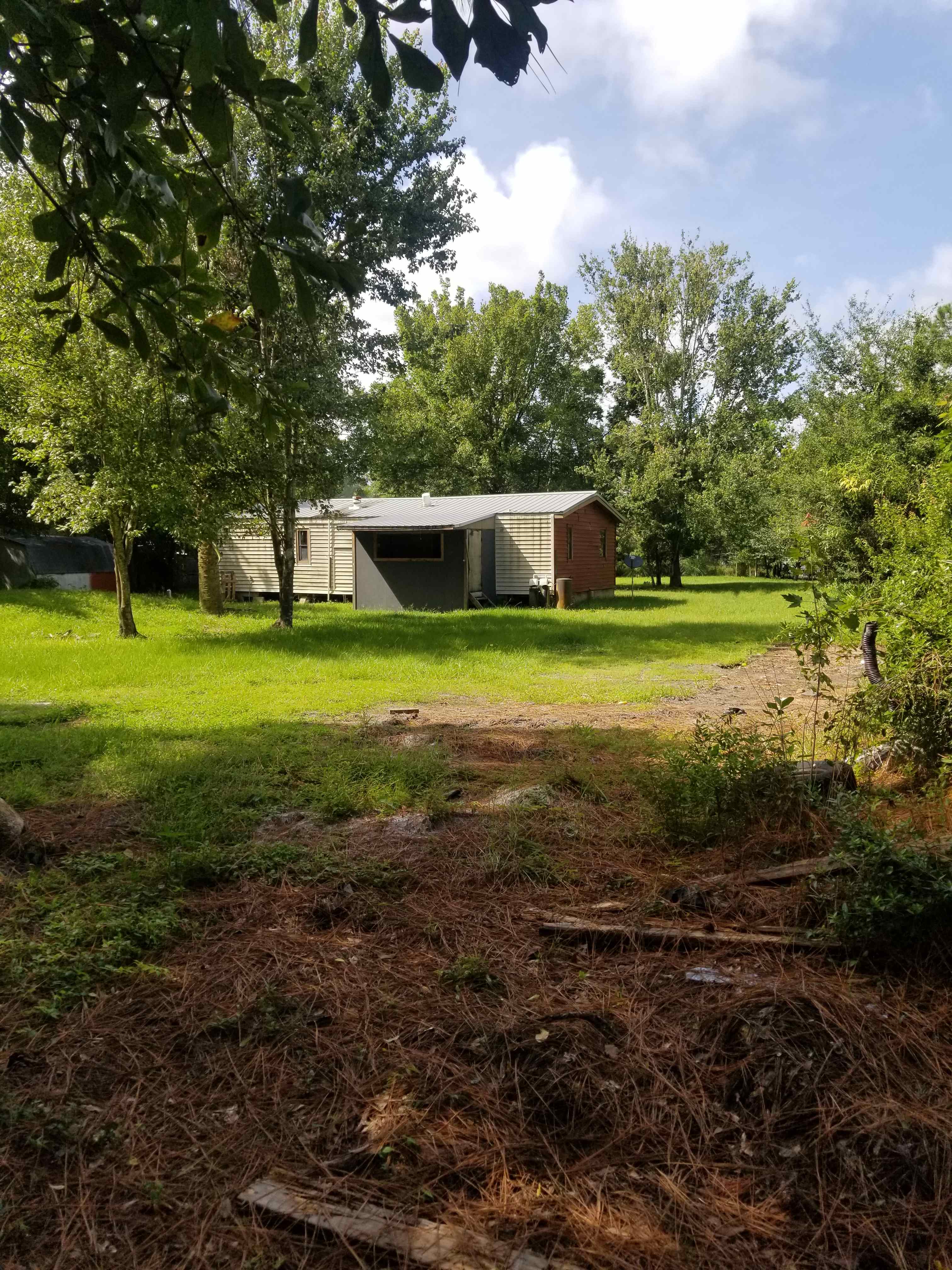 Old Florida Wooded Site Near Town