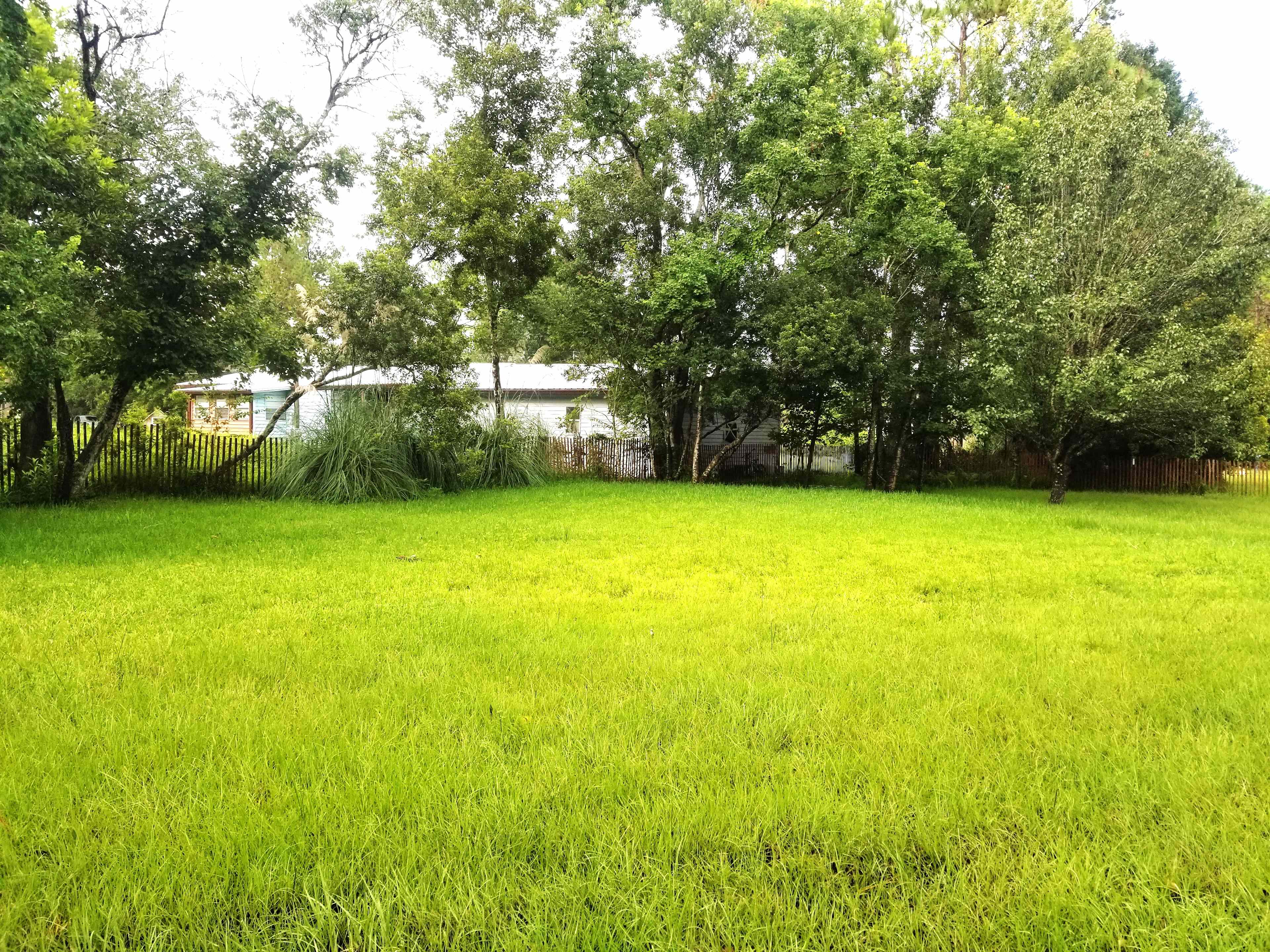 Old Florida Wooded Site Near Town