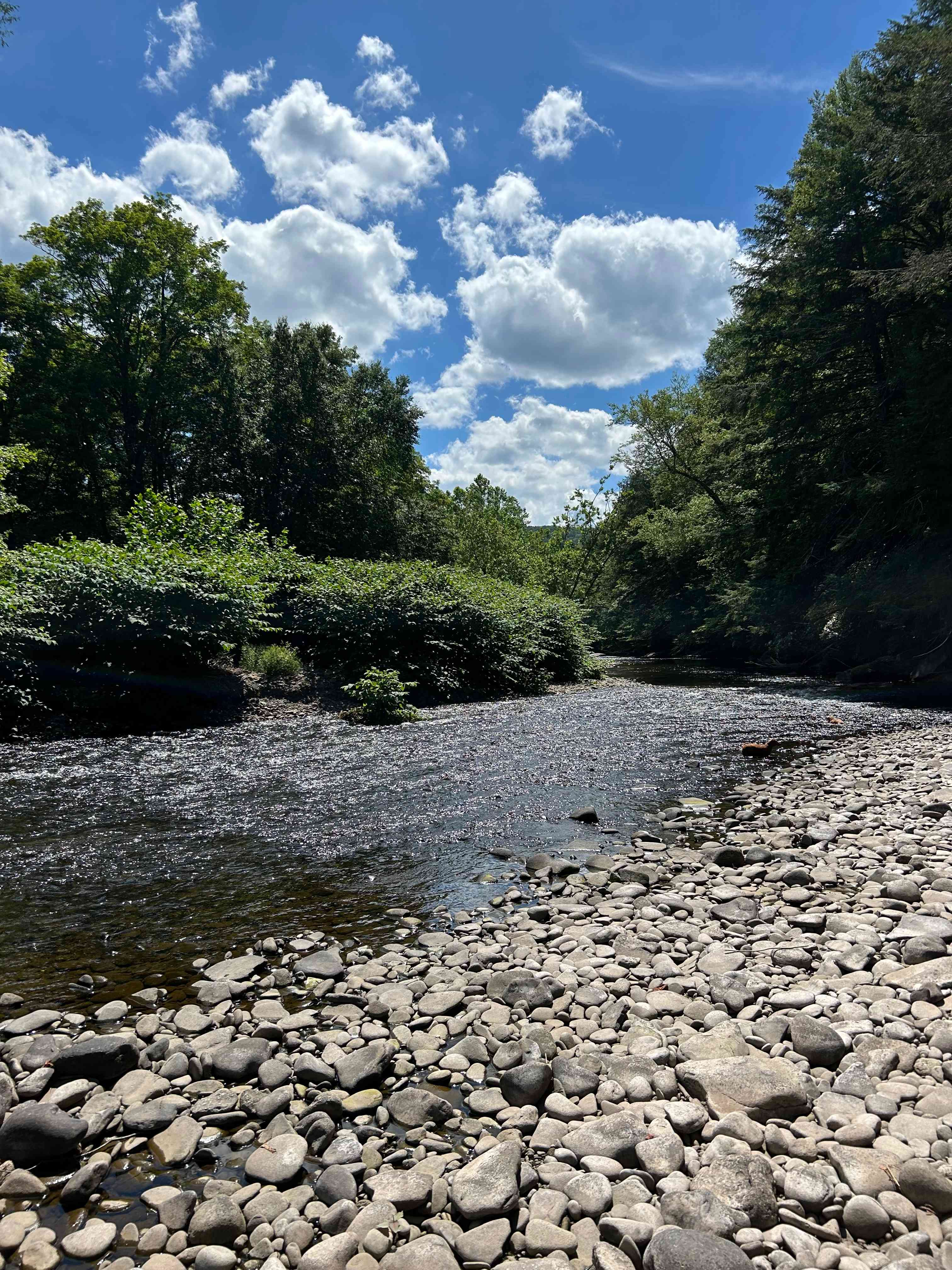 Fisherman’s Bend