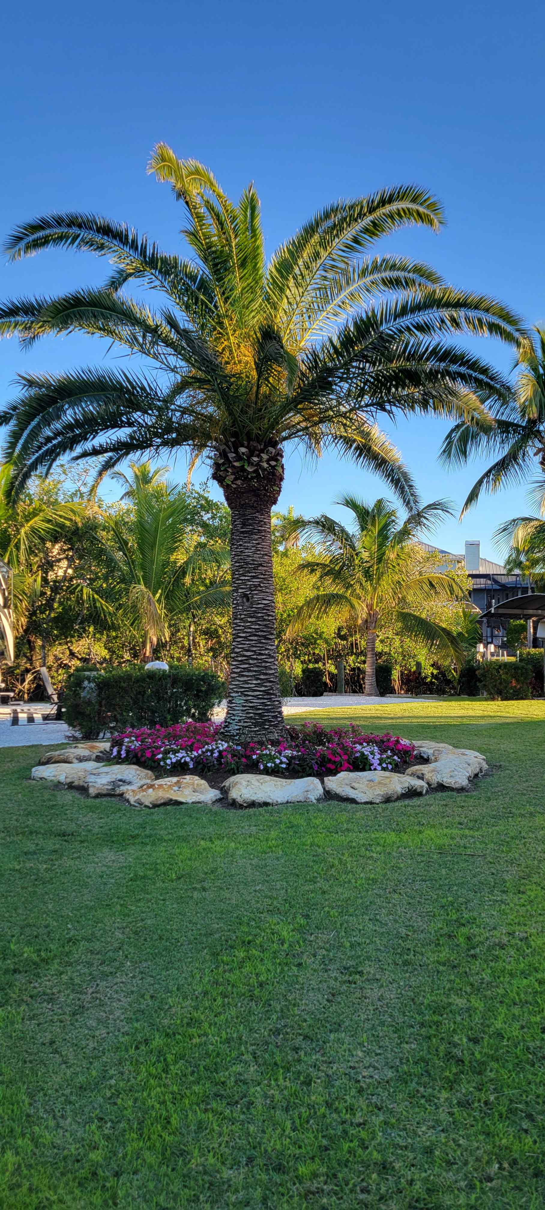 Paradise Point