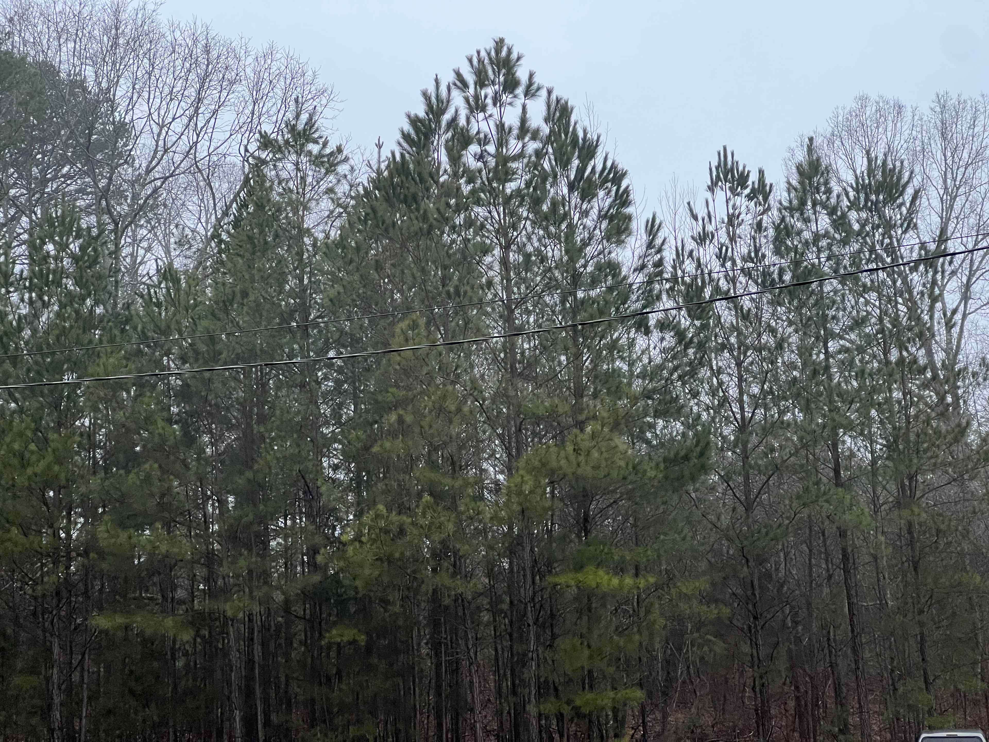 Pickwick Adventure Camping