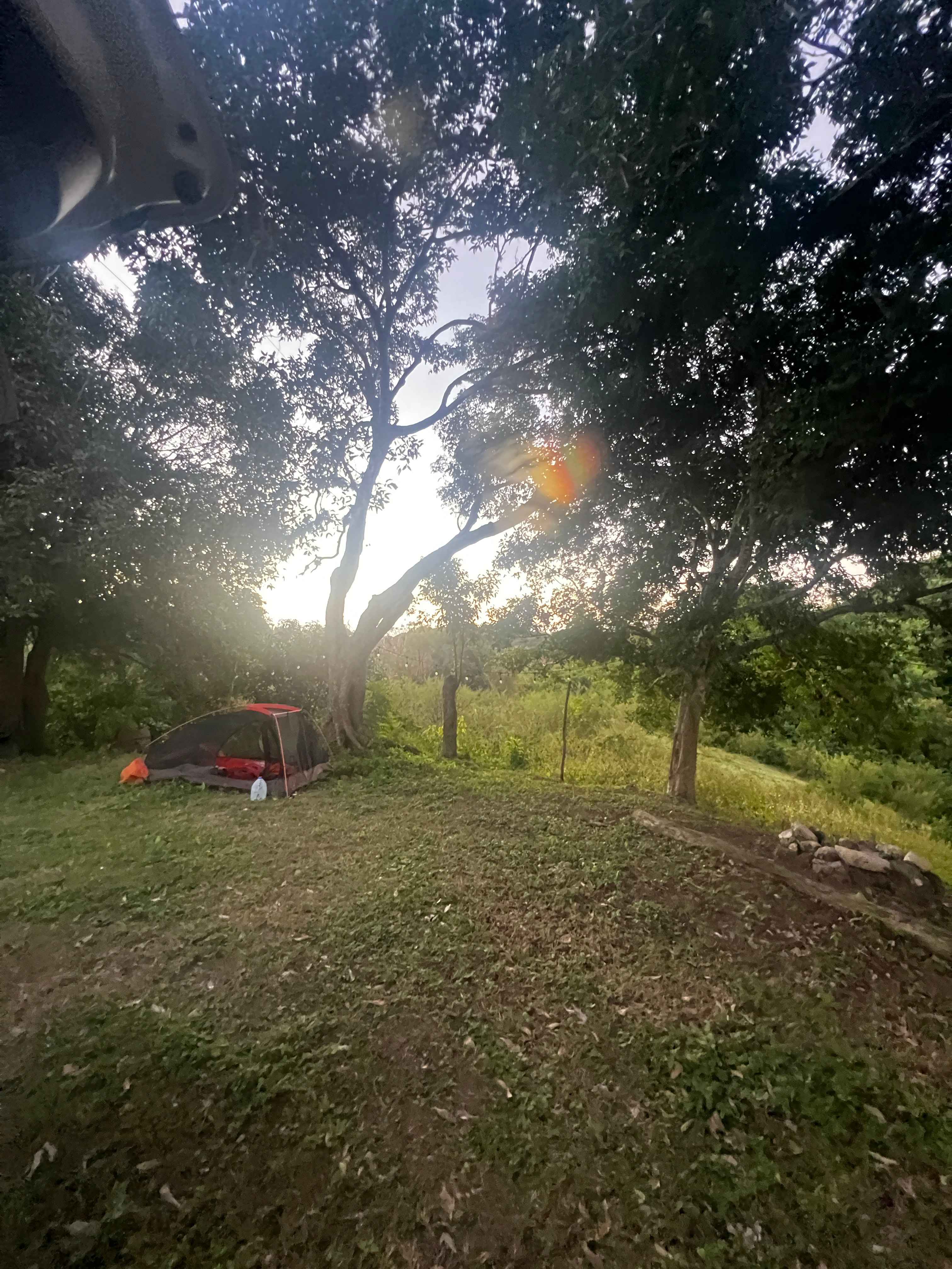 Finca Virginia ⛺️ Cabo Rojo
