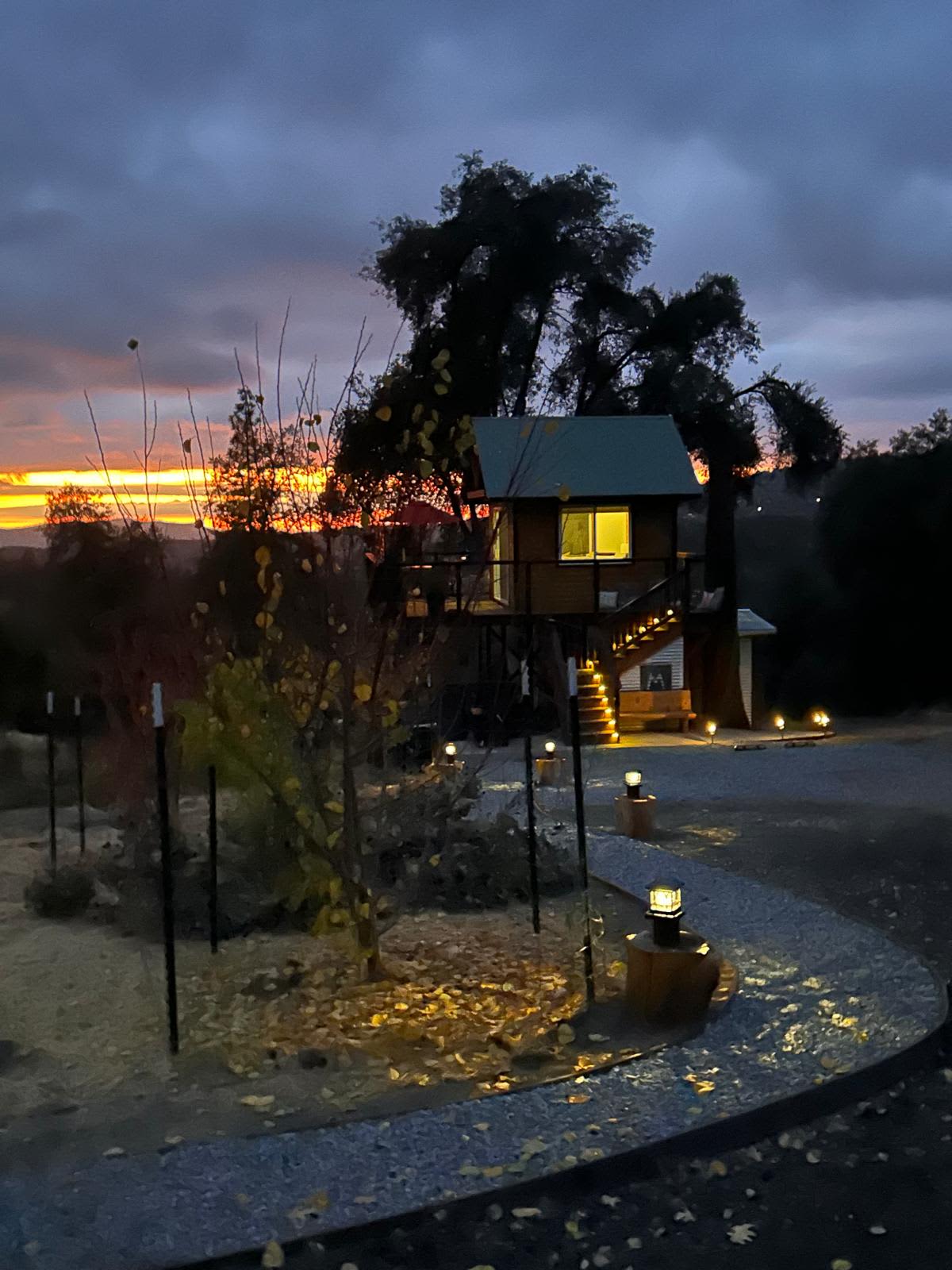 Sunset Vista - Sierra Forest