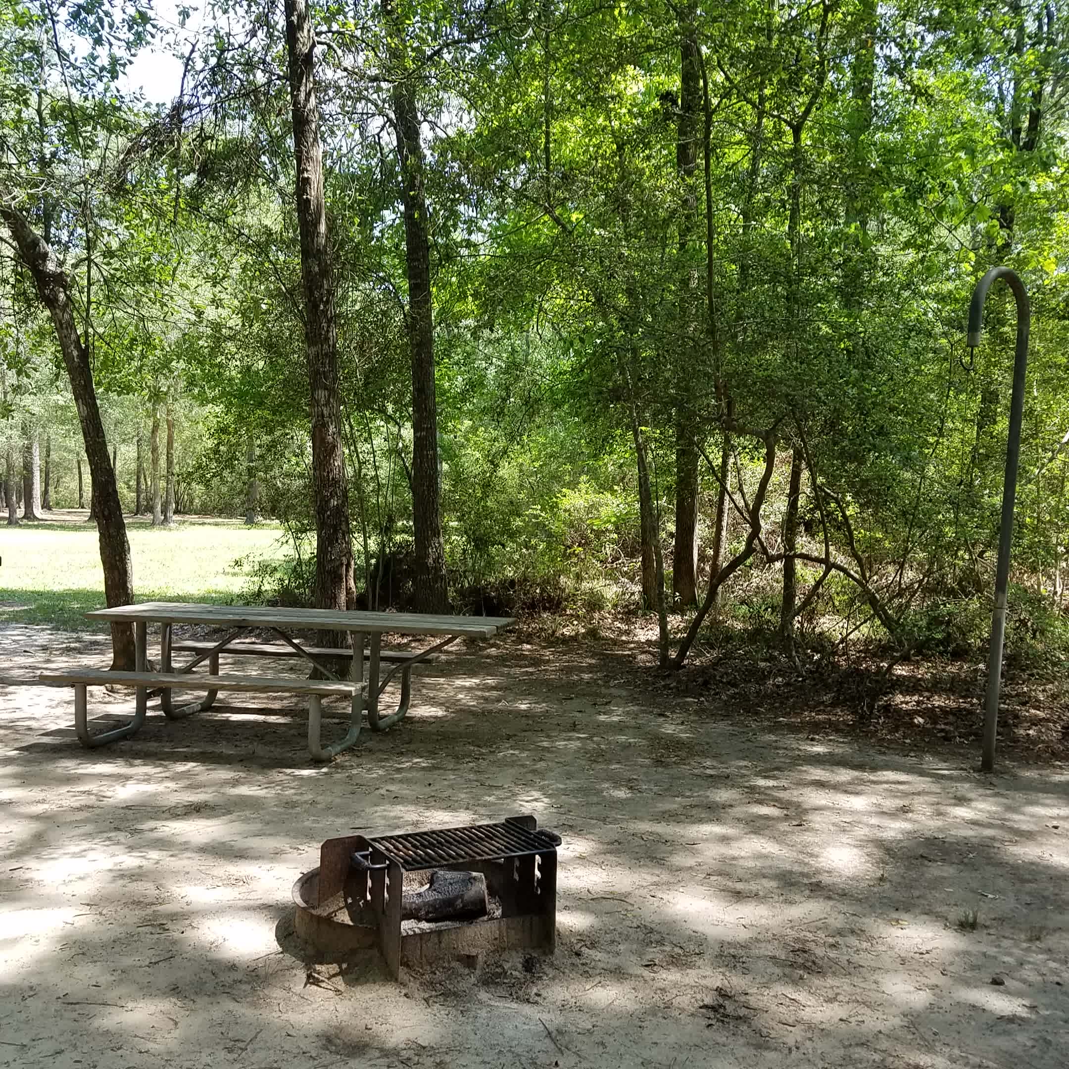 Lake Houston Park Magic By Shell