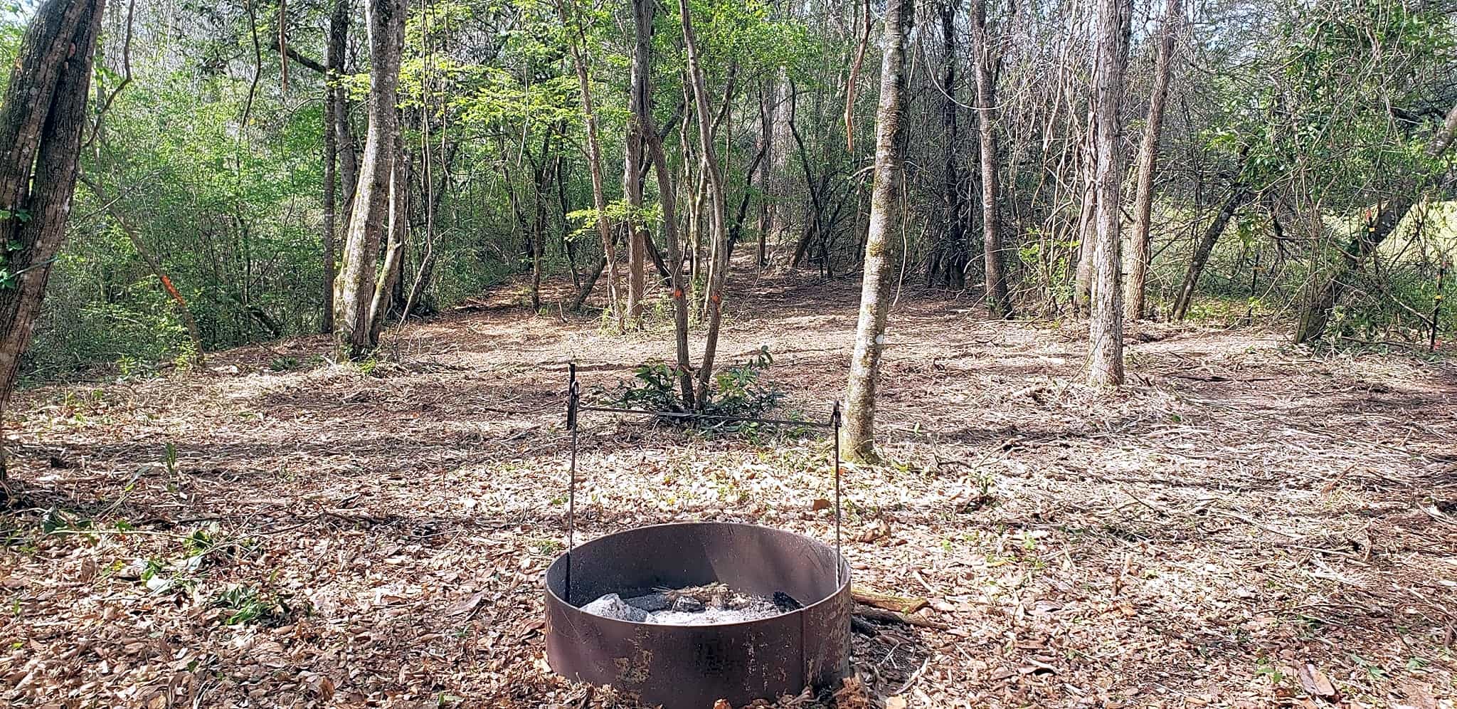 Kelly Creek RV Park & Persimmon Farm