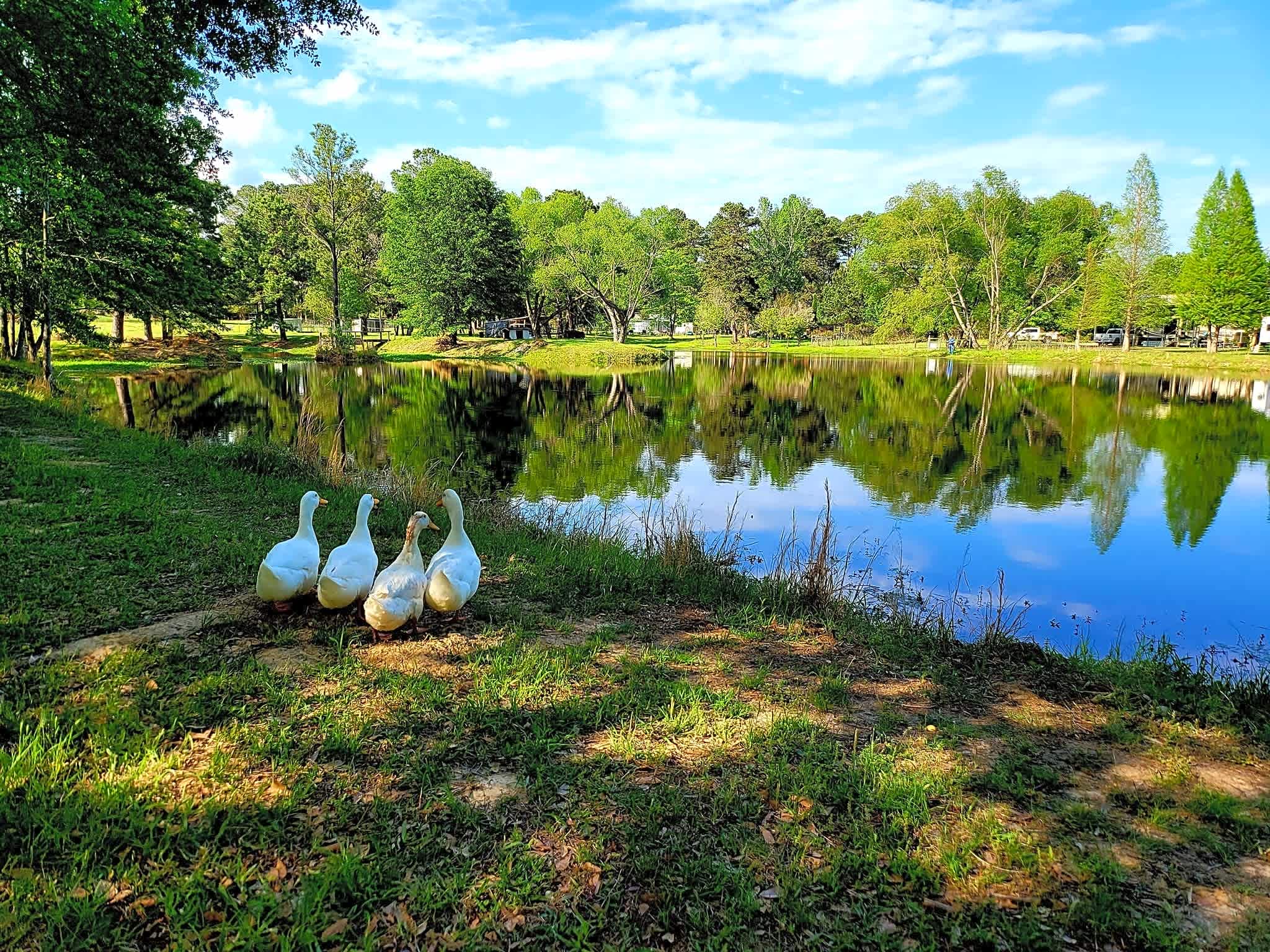 Marshall RV Park