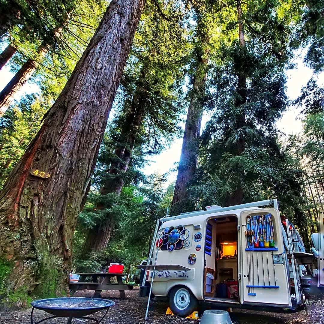 Santa Cruz Redwoods RV Resort