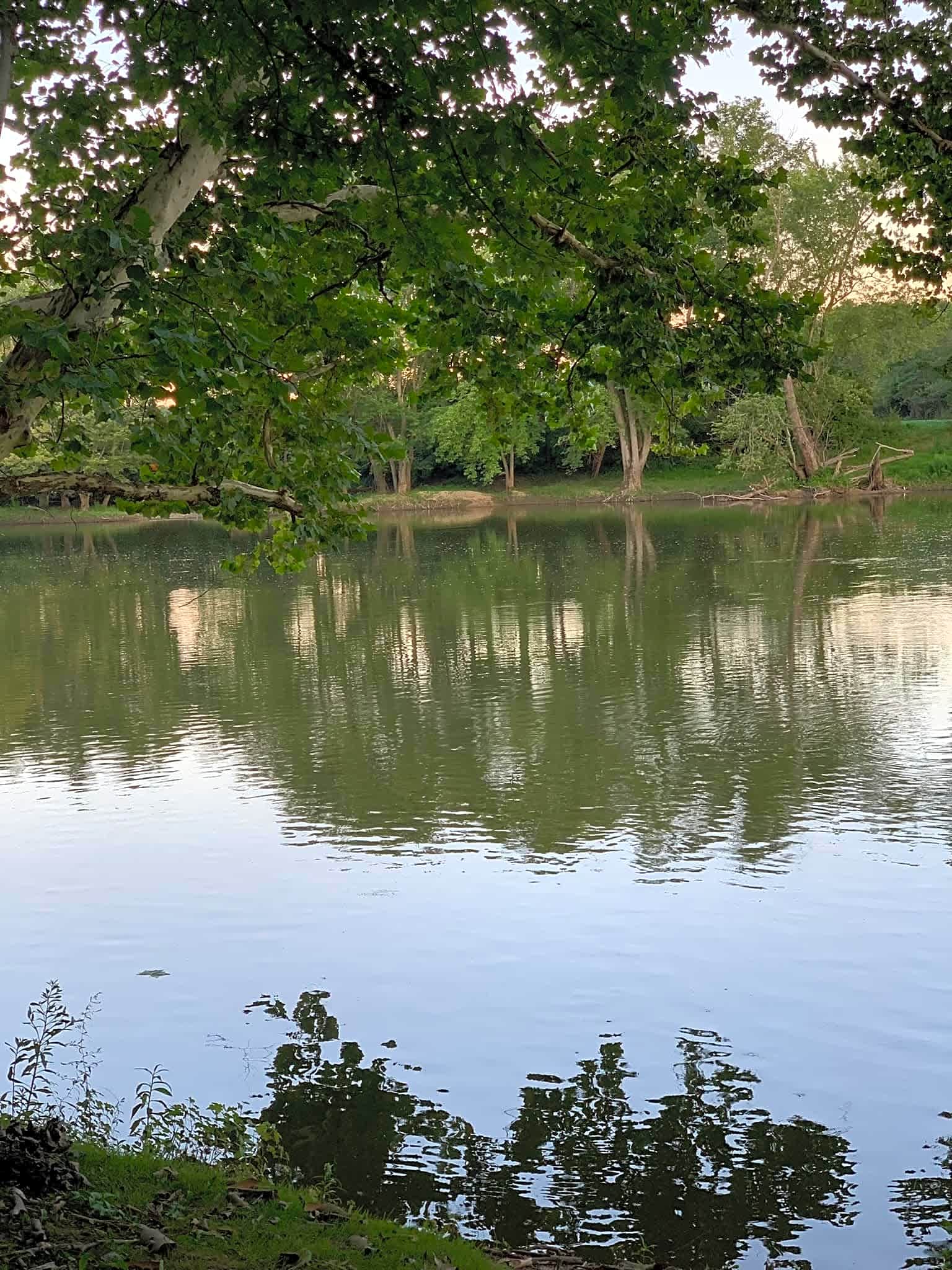 Tall Sycamore Campground