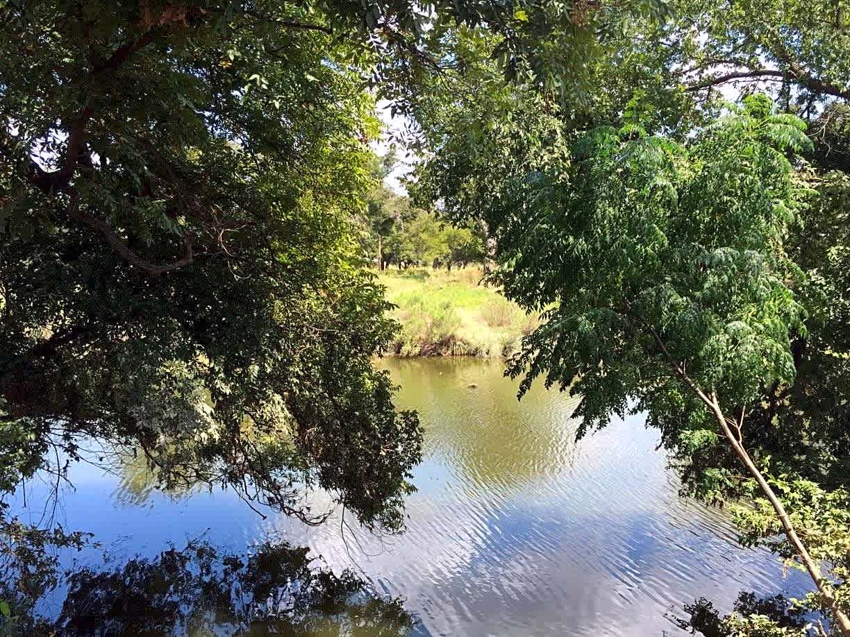 Riverside Park RV
