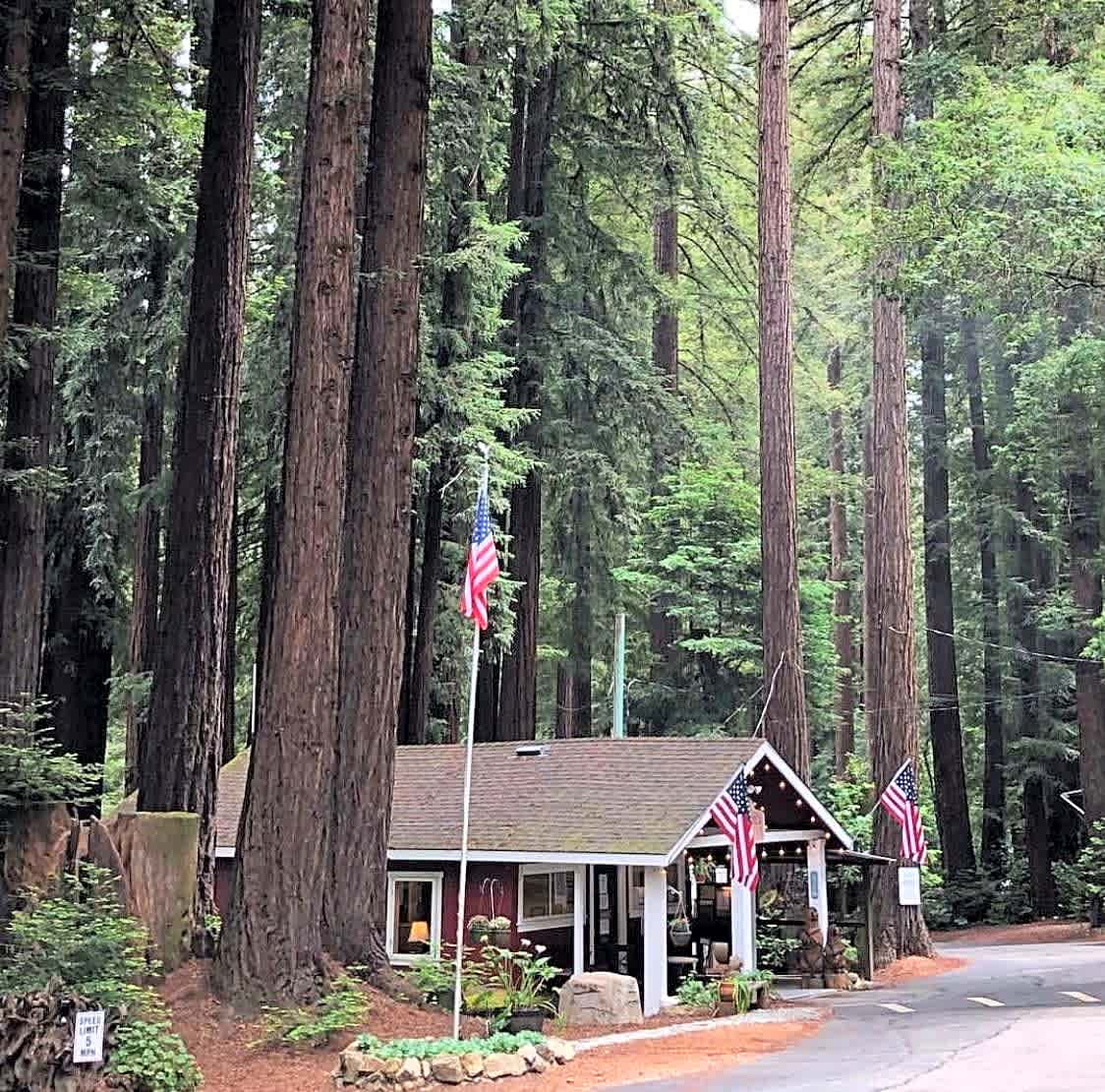 Santa Cruz Redwoods RV Resort