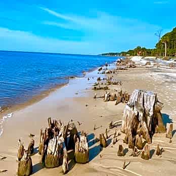 Carrabelle Beach RV Resort