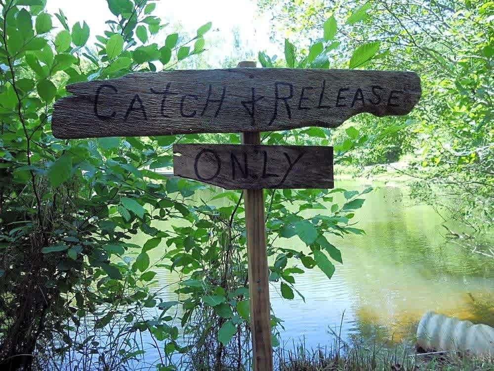 Jenny's Creek Family Campground