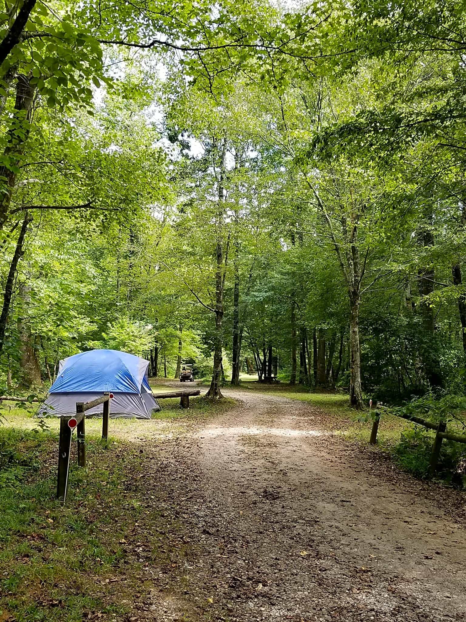 Jenny's Creek Family Campground