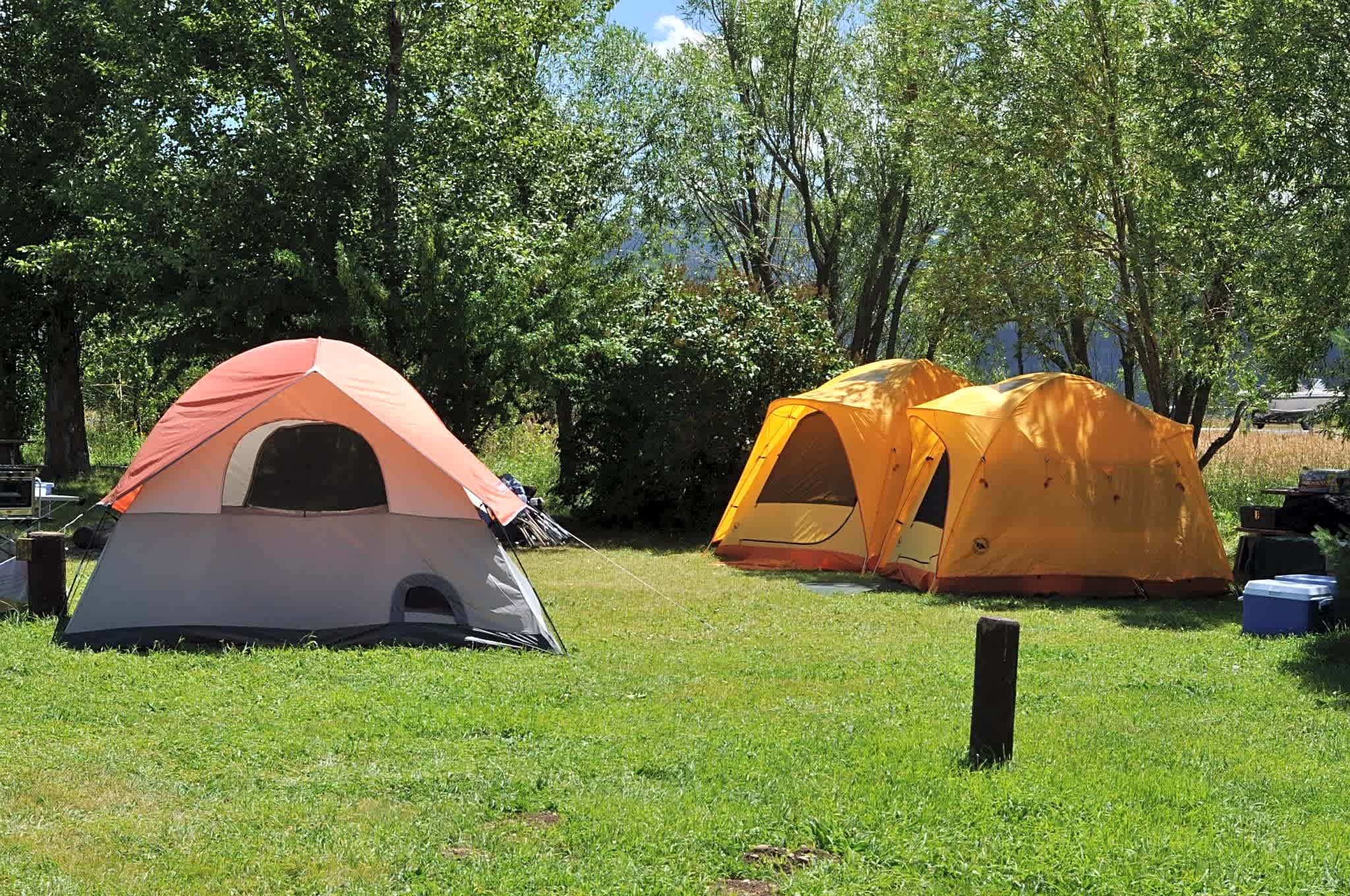 Teton Valley RV Park
