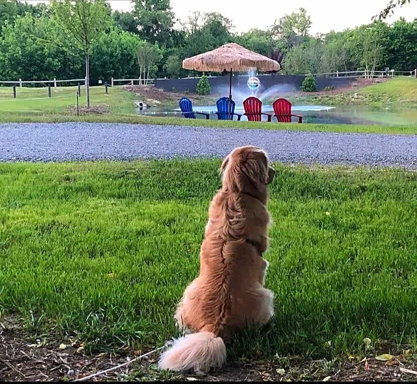 Riverwalk on the Yadkin RV Park