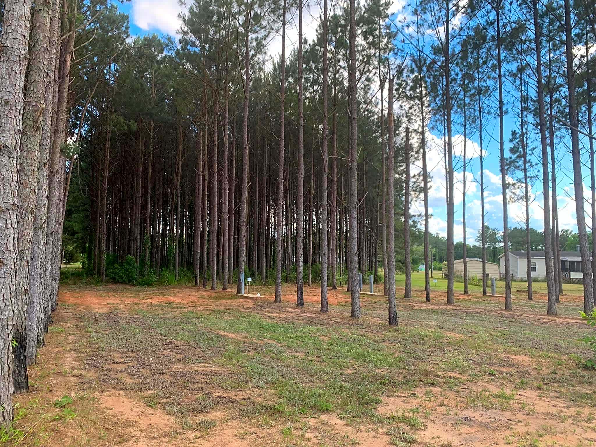 American Robin RV Park & Bird Sanctuary