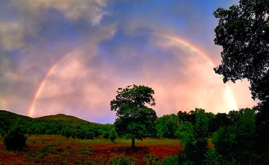 Heaven's Gate RV Park and Retreat