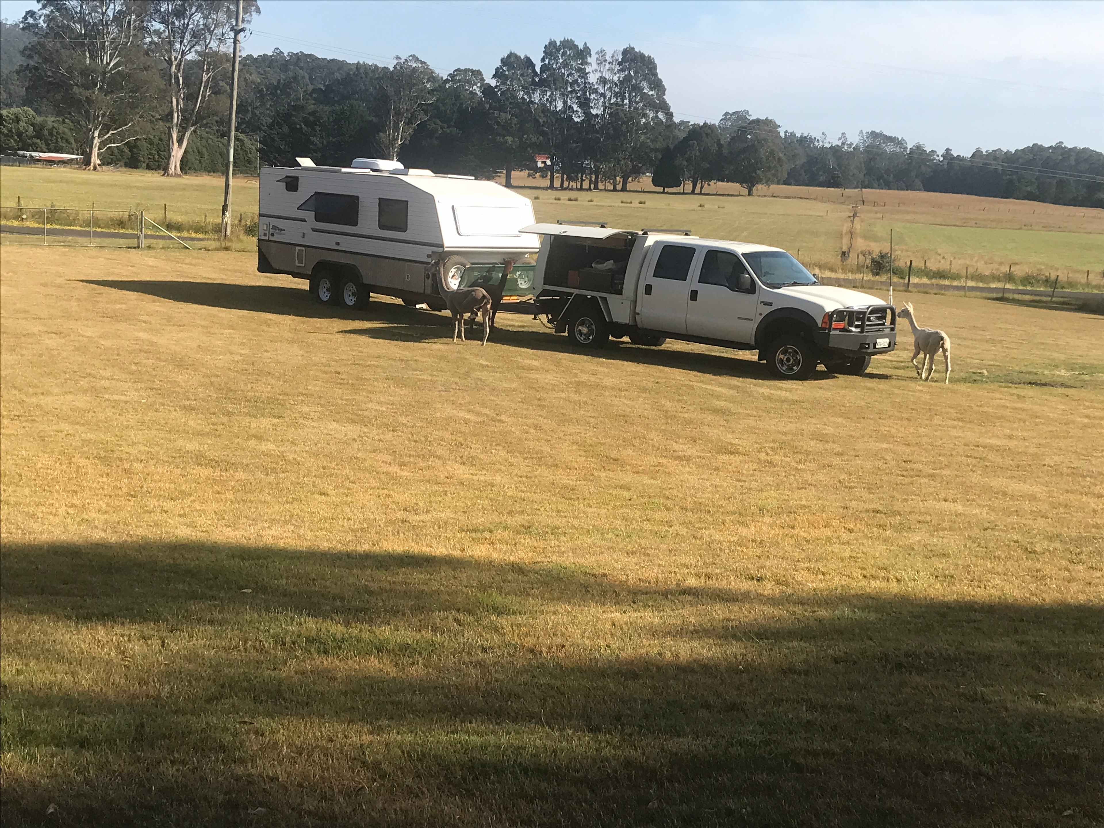 The Acreage at Nietta