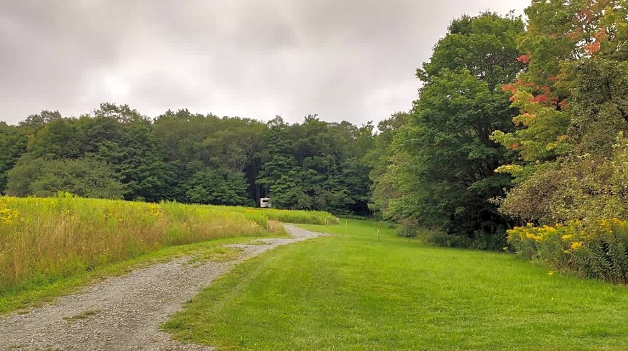Kingswood Campsite