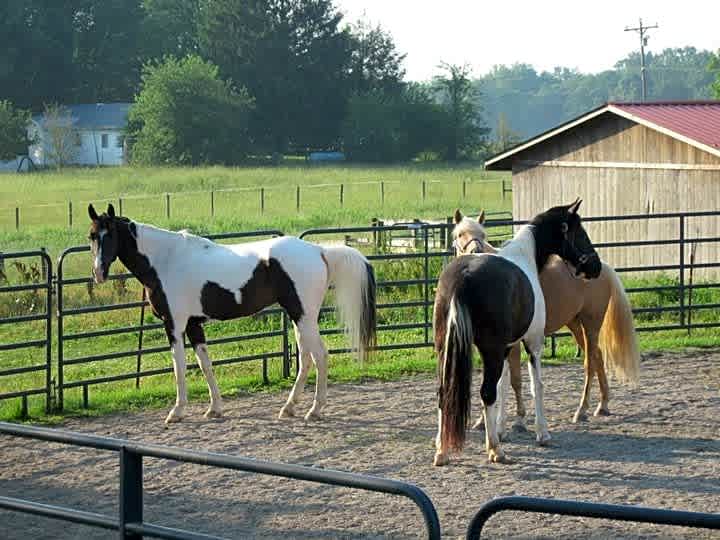 True West Campground Stables and Mercantile